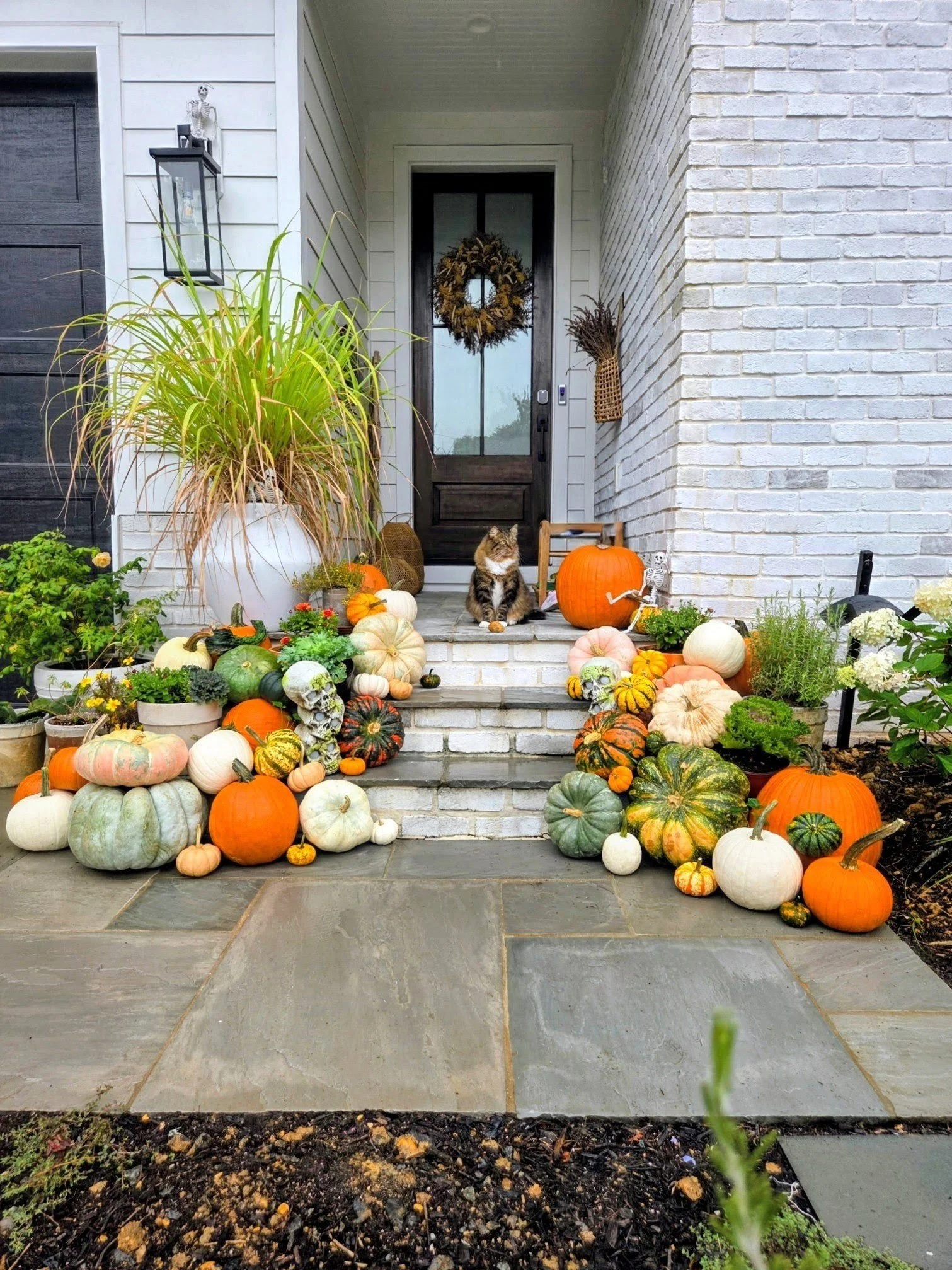 Front porch decorated with various pumpkins and gourds, a potted plant, and Halloween skeleton decorations, with a cat sitting on the steps. The house has white brick and siding, with a black front door and a wreath.