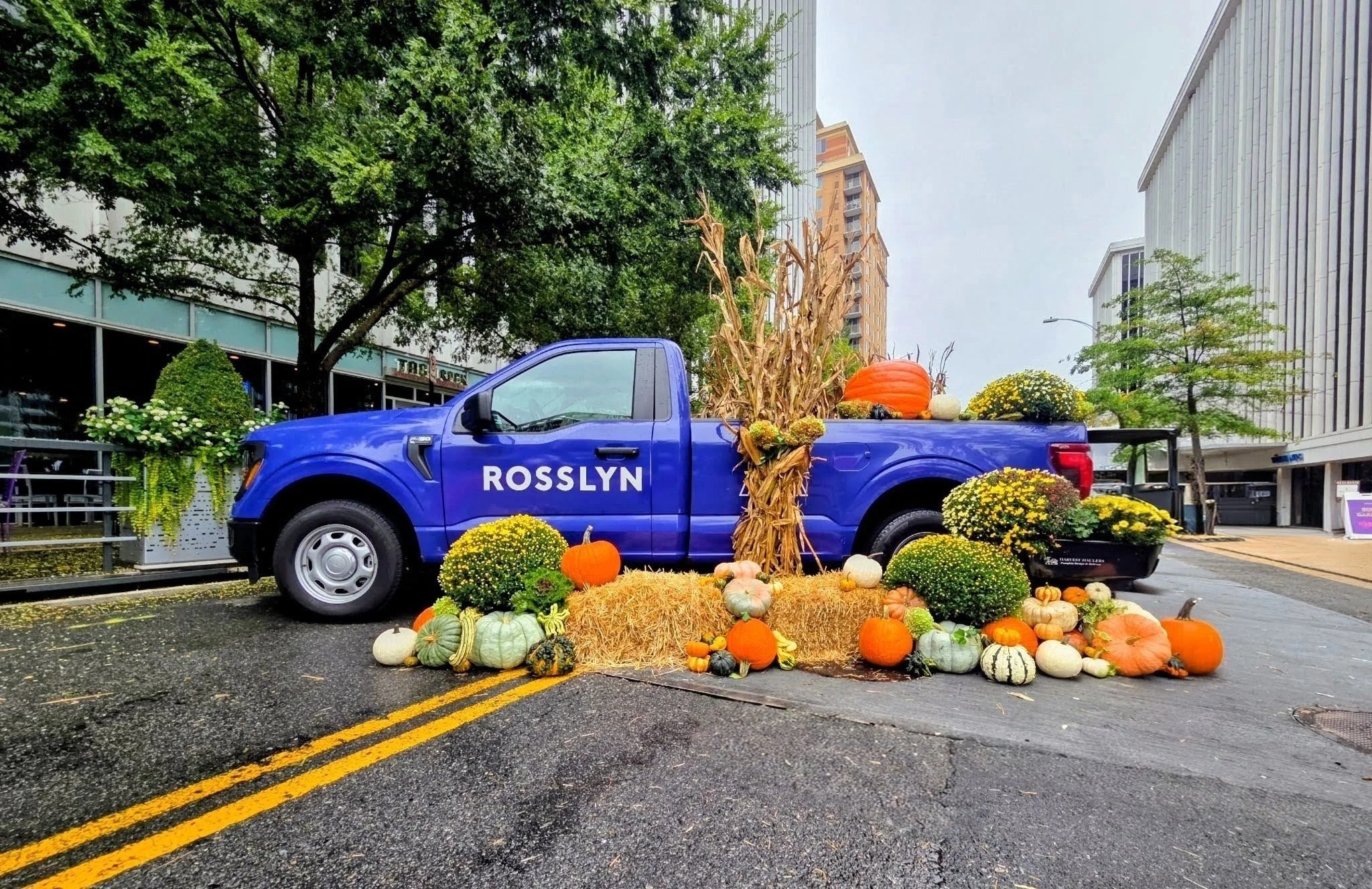 A blue pickup truck with "ROSSLYN" written on the door is decorated with fall harvests including pumpkins, gourds, and hay bales, set in an urban street scene with trees and tall buildings in the background.