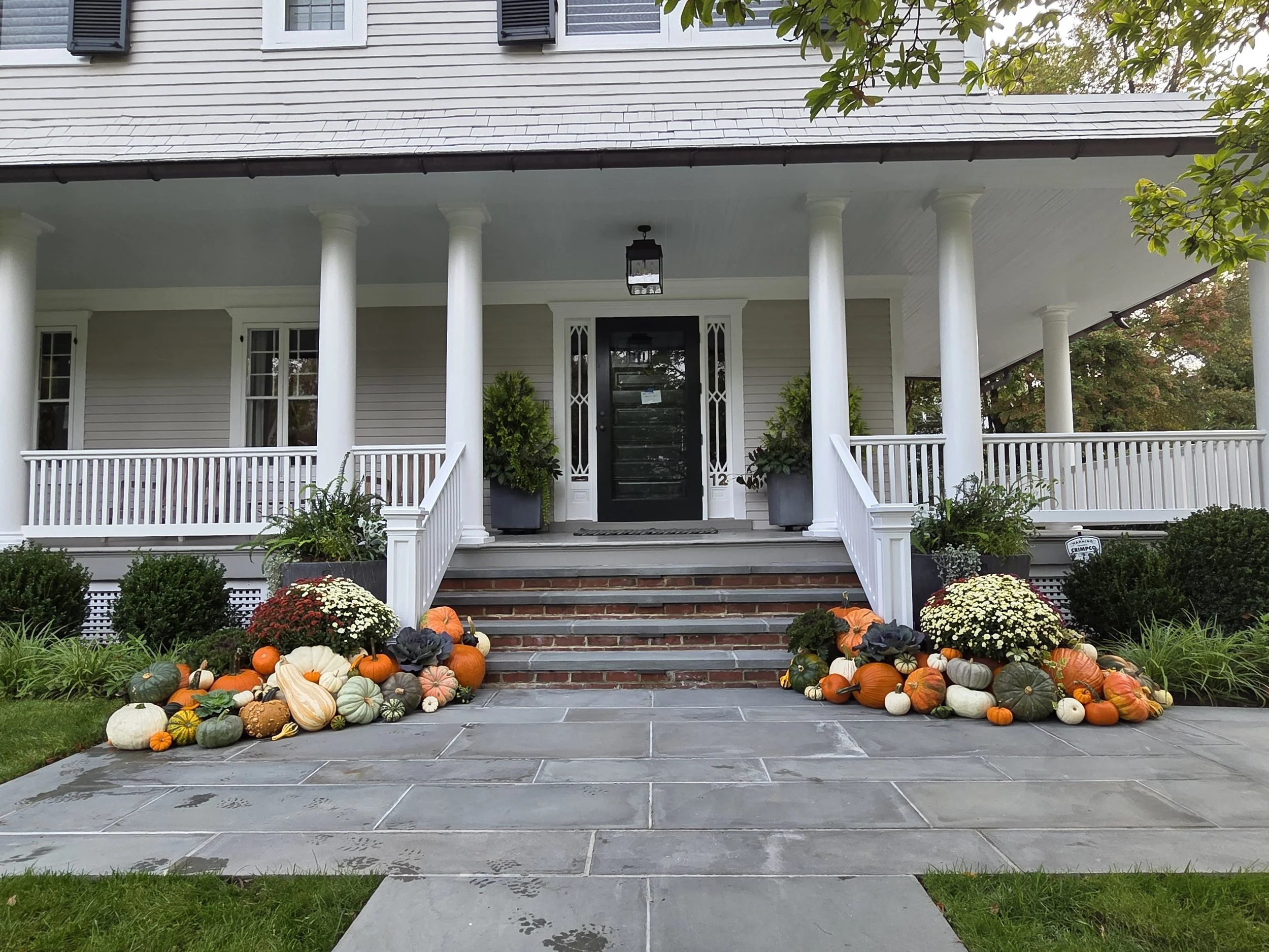Front porch of a house decorated for fall with a variety of pumpkins, gourds, and mums lined along the steps and on the lawn. The house has white siding, black shutters, and columns supporting the porch roof. There are trees with colorful autumn leaves in the background.