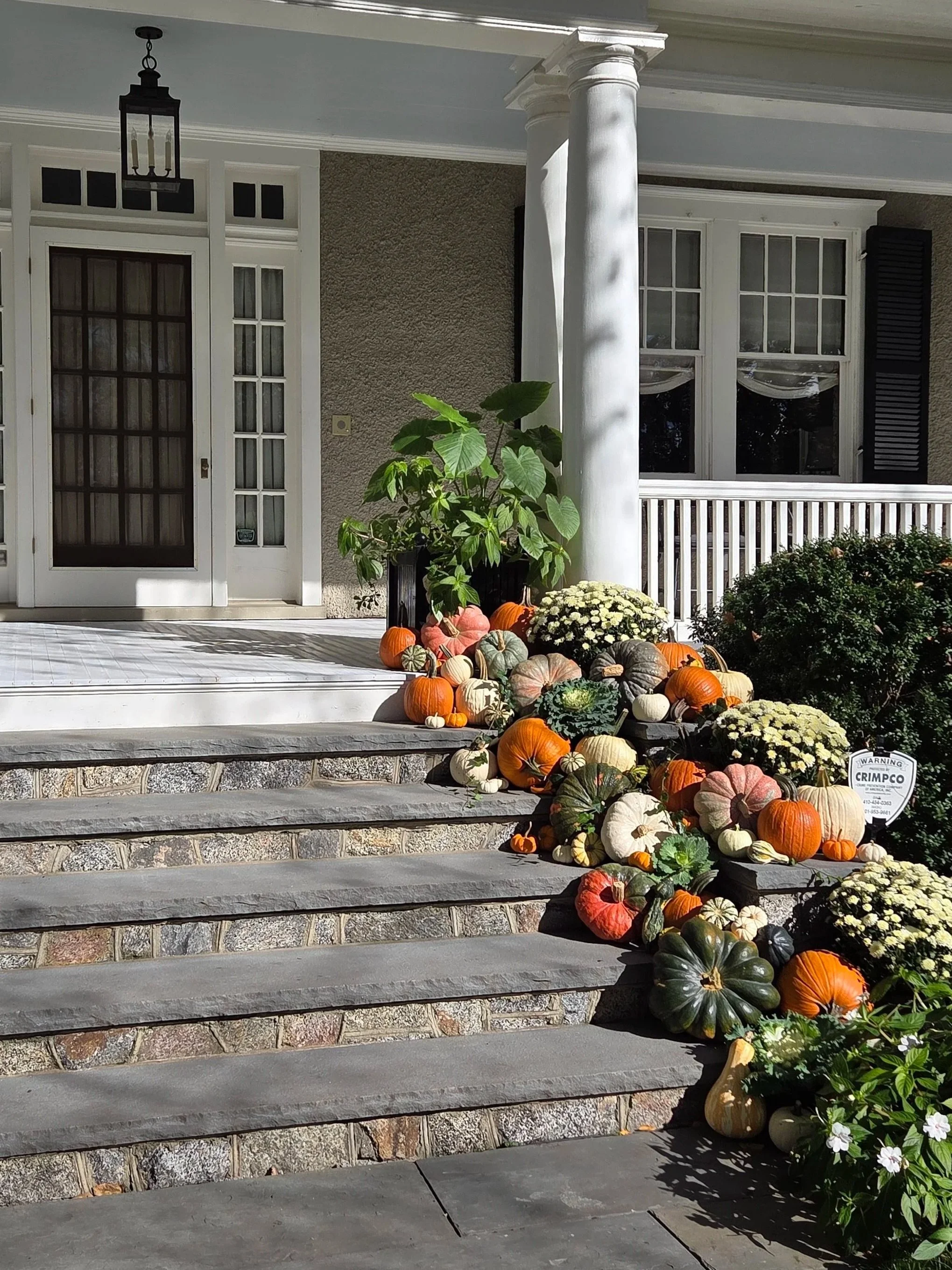 Front porch of a house decorated with an array of pumpkins, gourds, and fall flowers on the steps, with white columns, large windows, and a white railing.
