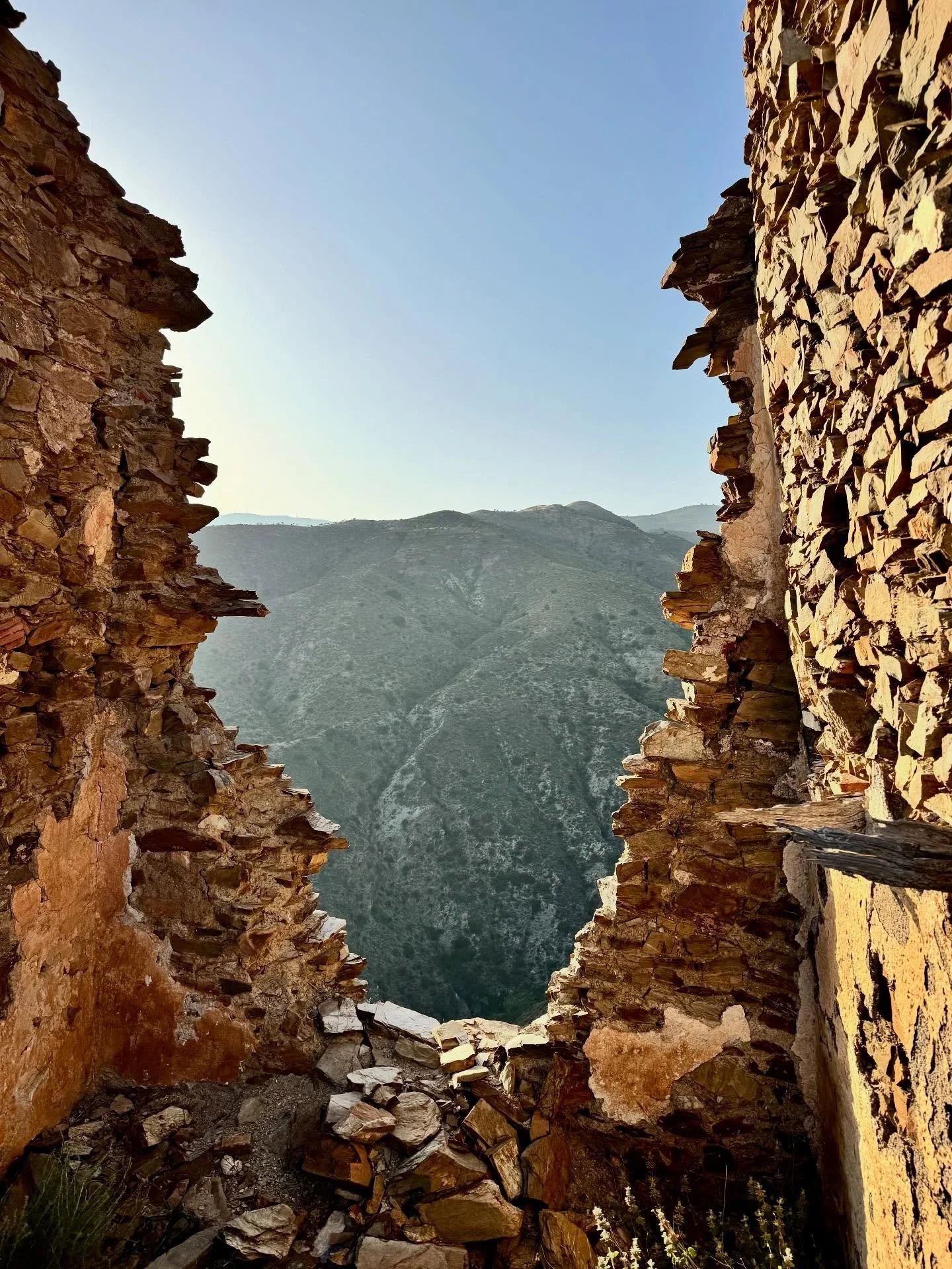 Wine making has a history of 2000 years in our region, but after phylloxera destroyed many vineyards almonds took over most of the mountain. Looking up through the ruins of an old bodega you can see our vineyard almost at the top of the mountain at 1