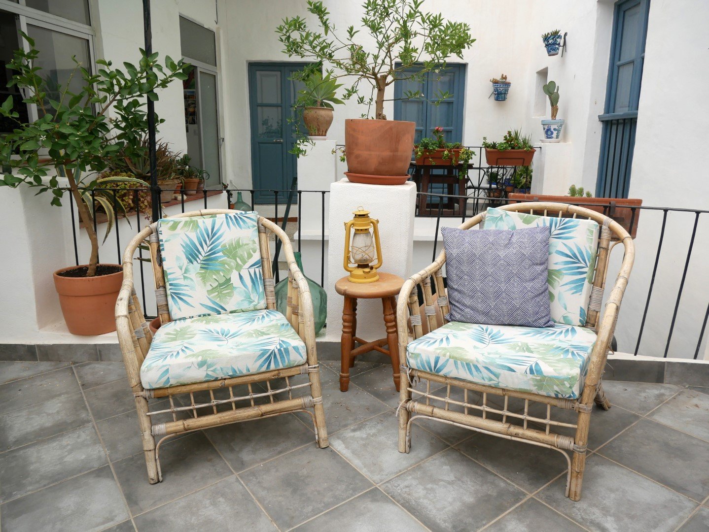 P1730664 (Large).JPG