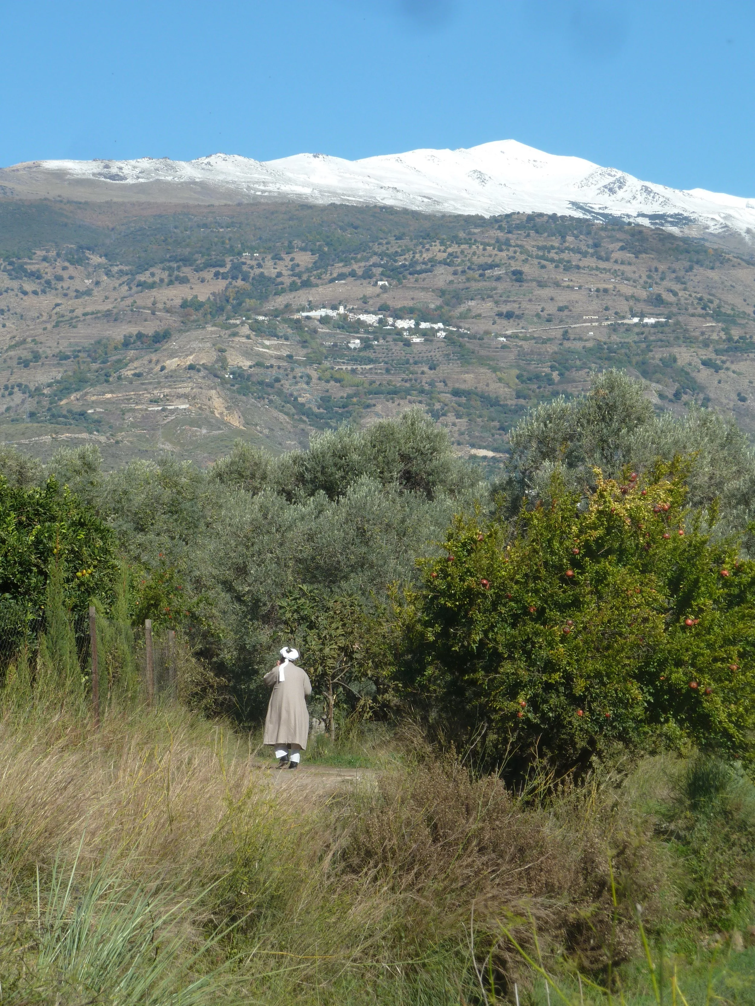 Place names in the Alpujarra and their origin and meaning