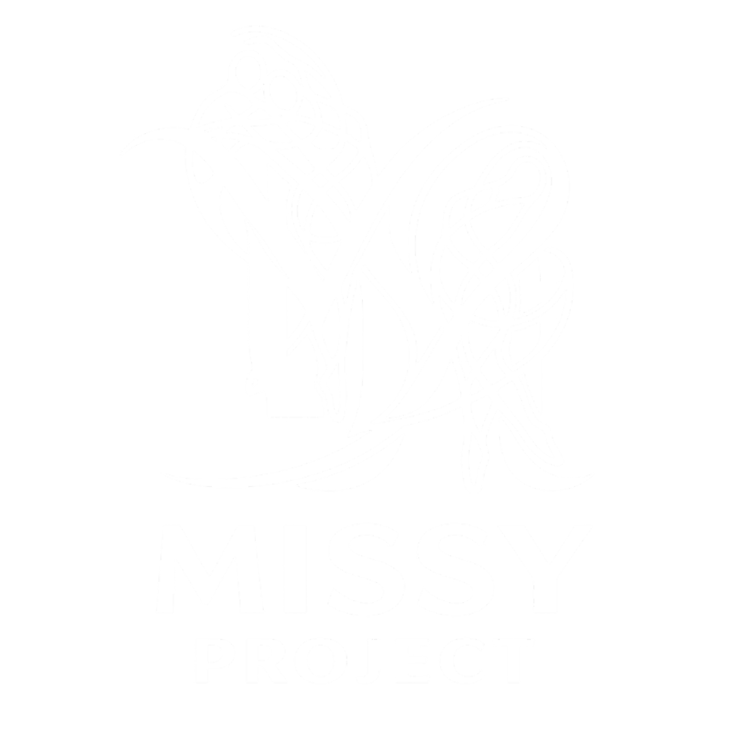 MISSY PROJECT
