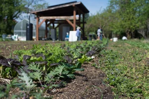 Three Part Harmony Center for Agriculture Food & Learning