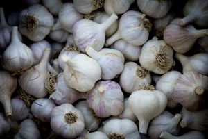 Three Part Harmony Center for Agriculture Food & Learning