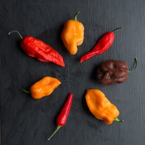 Three Part Harmony Center for Agriculture Food & Learning