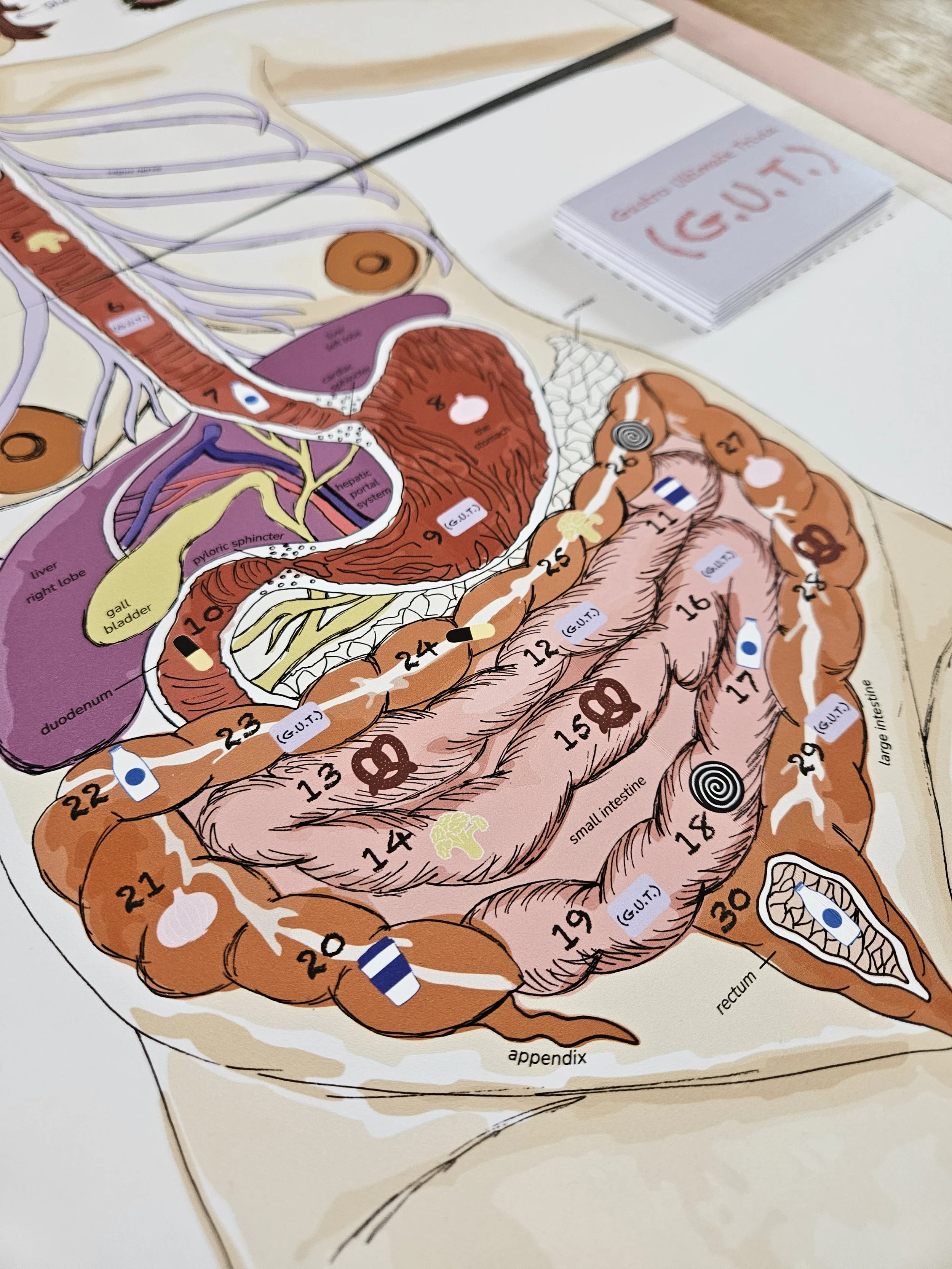 Close up of The I.B.S. Board Game. 2024