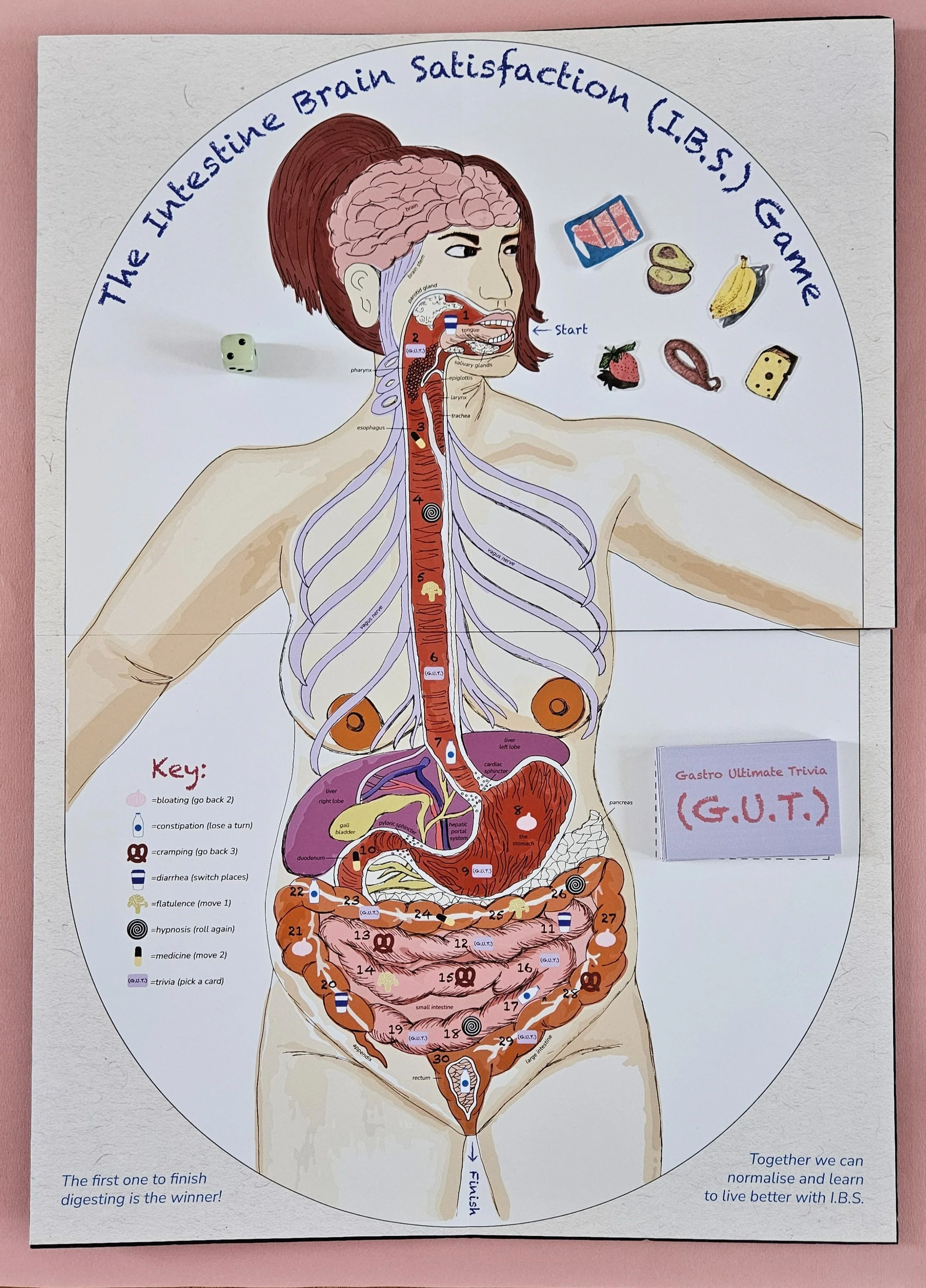 The I.B.S. Board Game. 2024