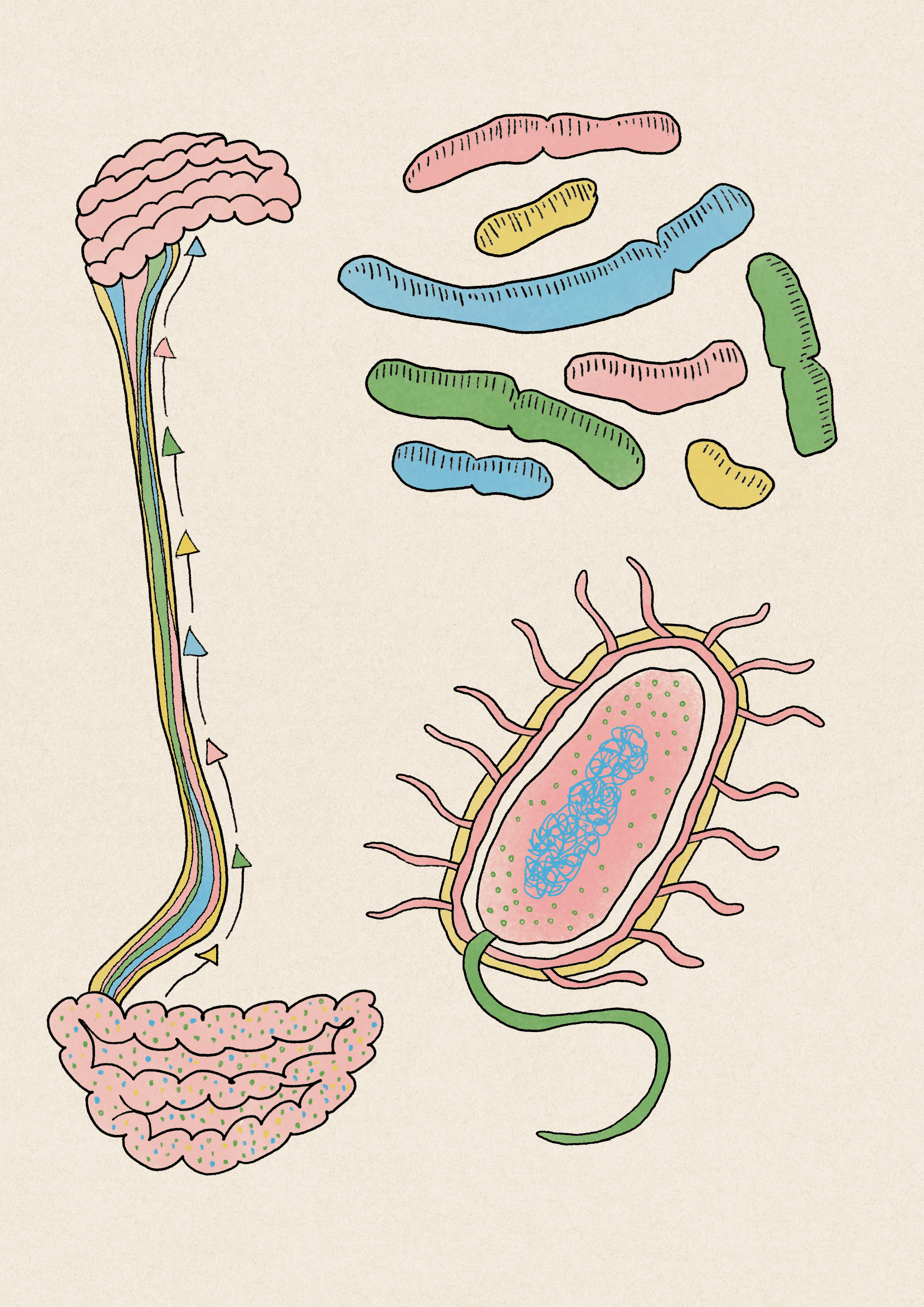 full-microbiome-animated.gif