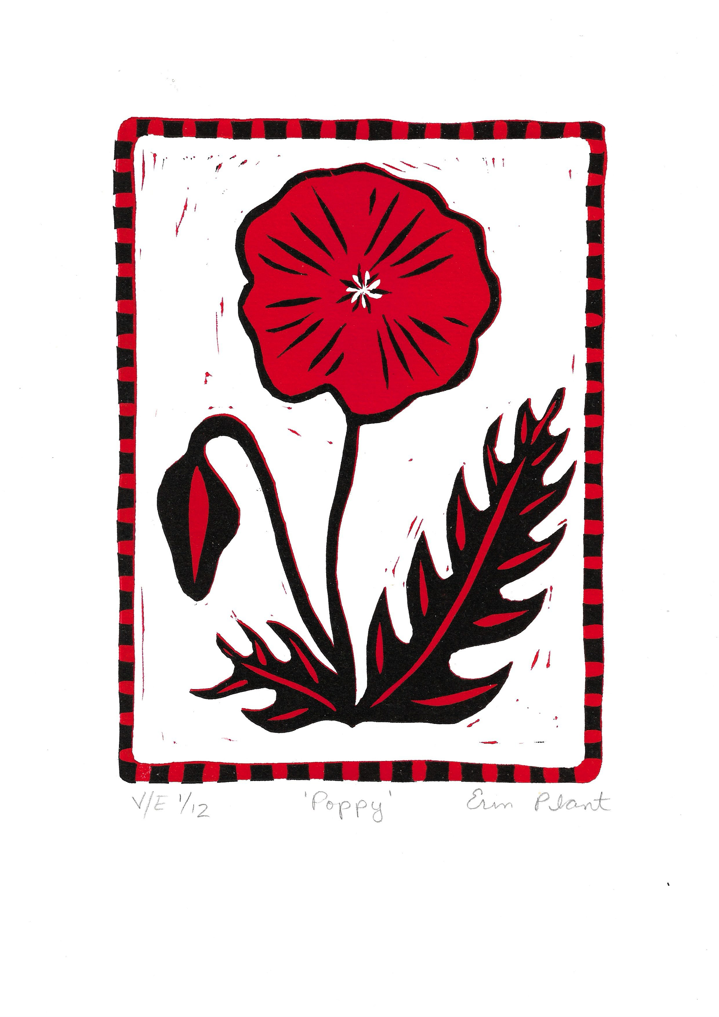 Poppy 1:12.png