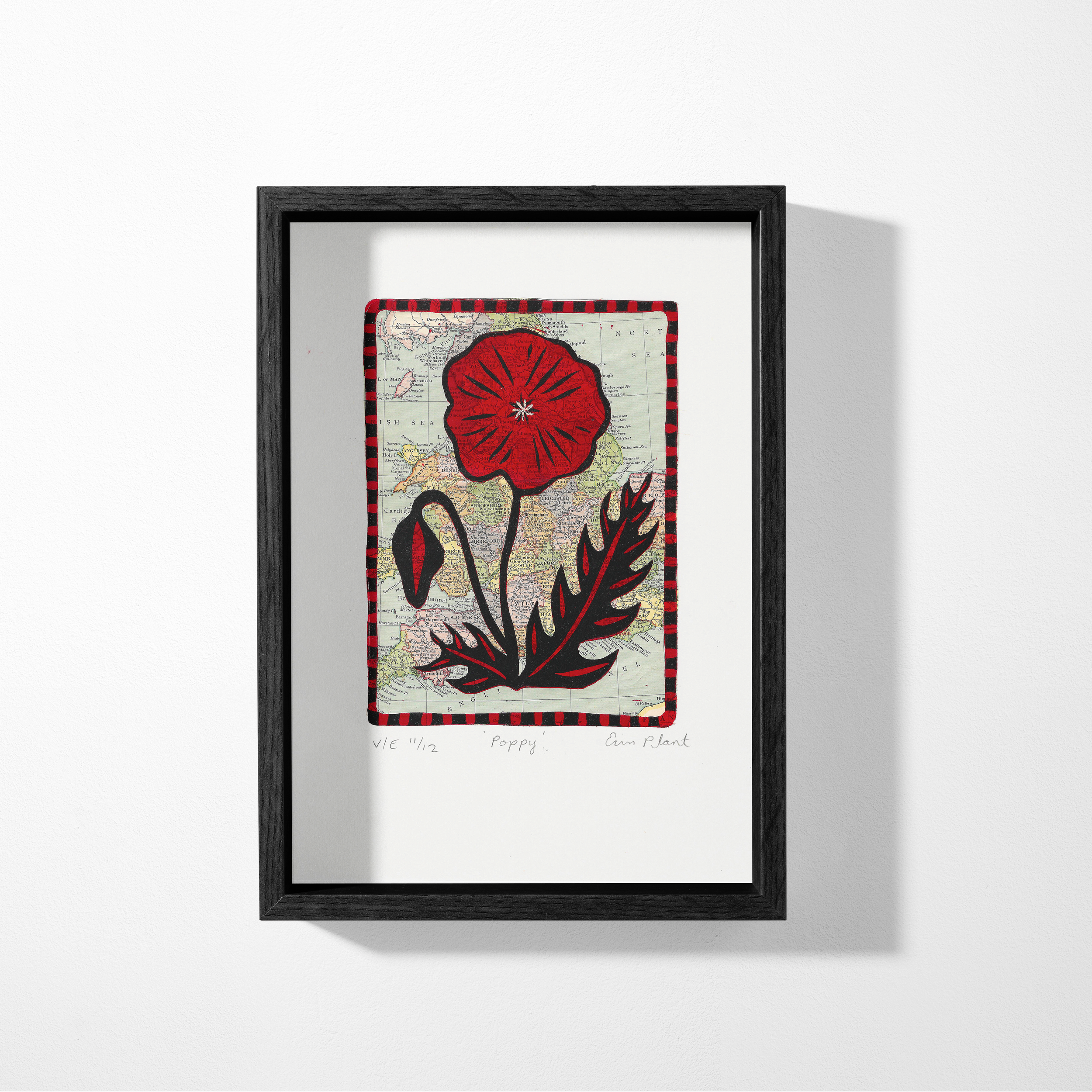 poppy with map in a black frame.png