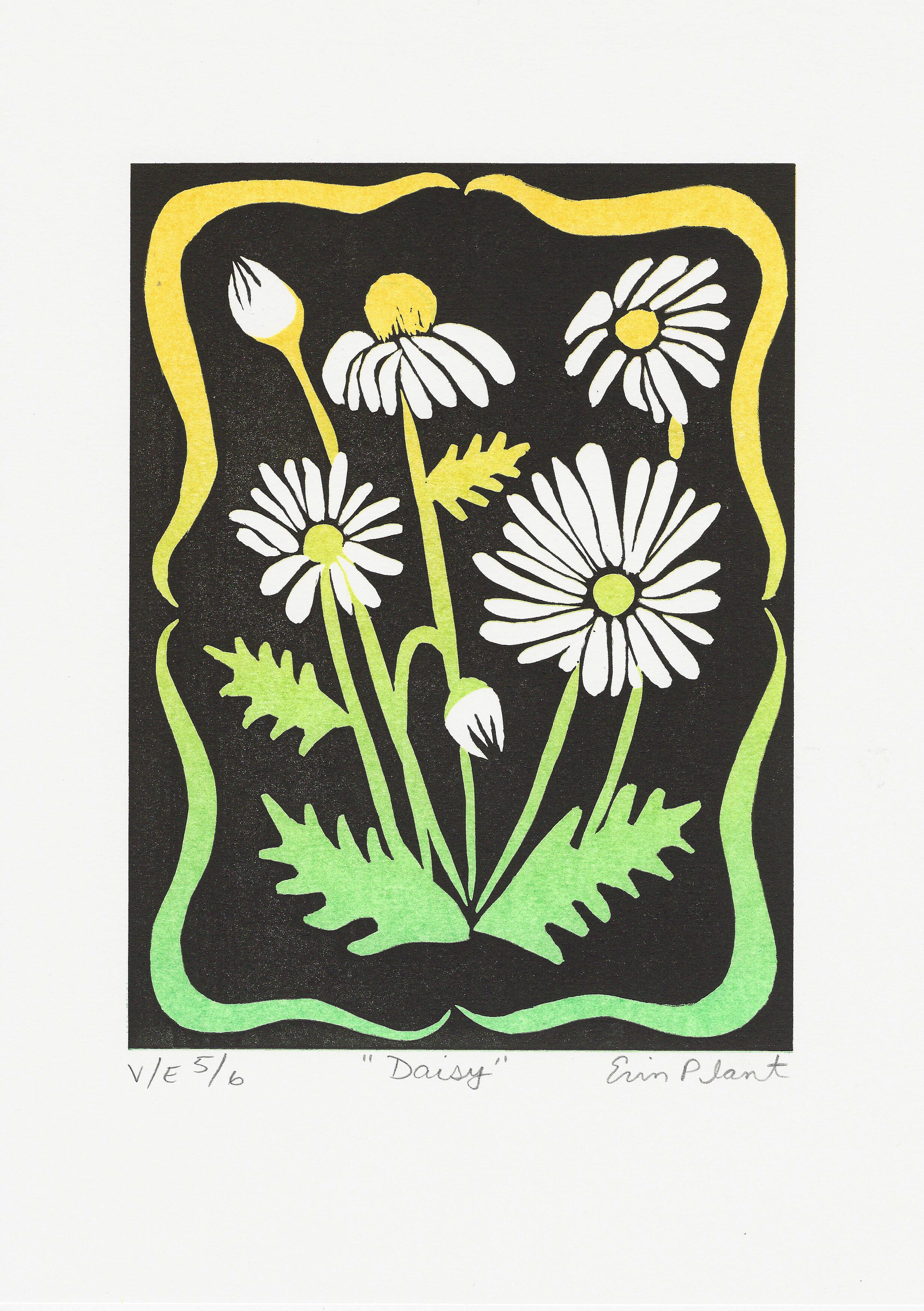 Daisy 5:6.png