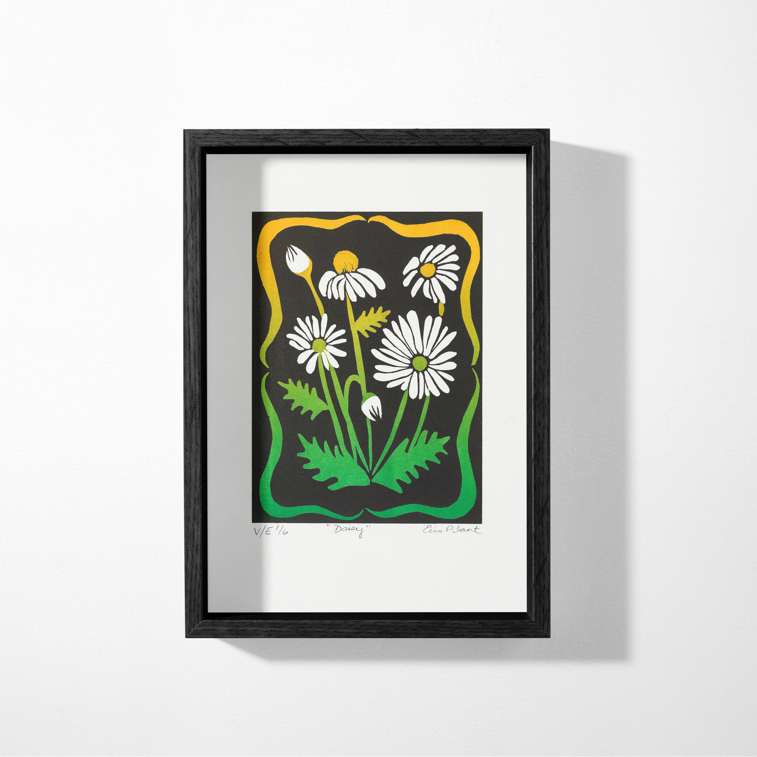 daisy in a black frame.png