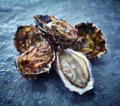 Oysters marennes d'oléron