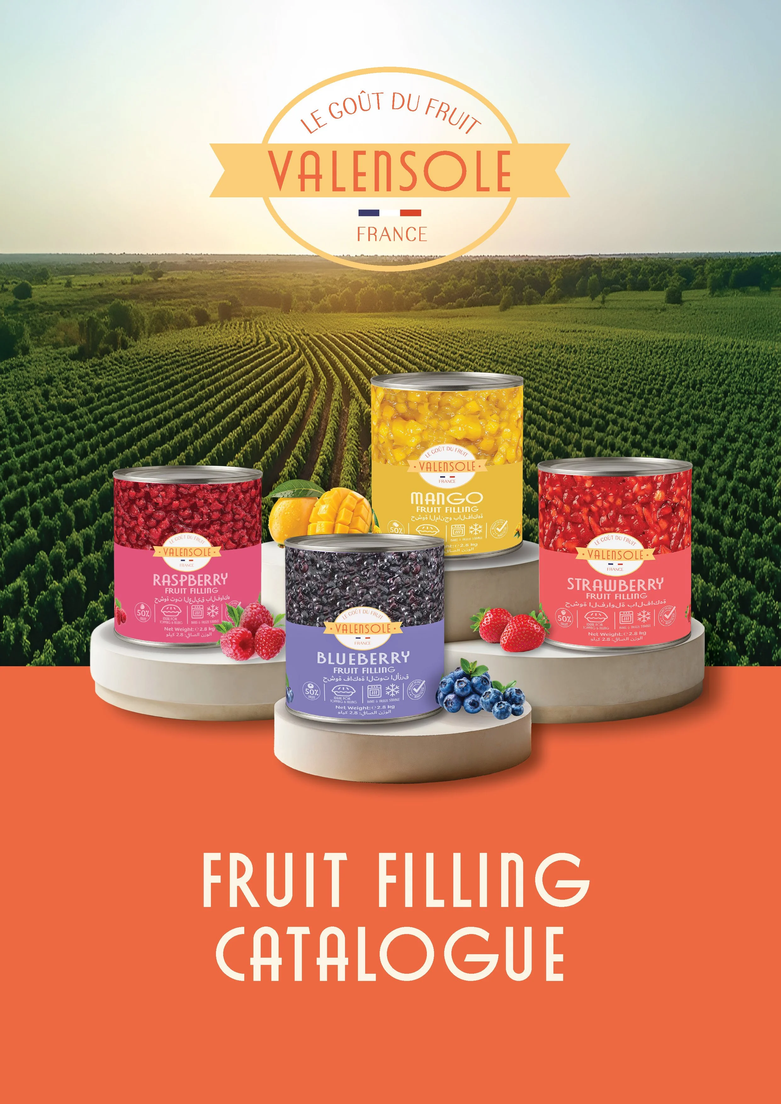 Valensole Fruit Filling Catalog_Page_1.jpg