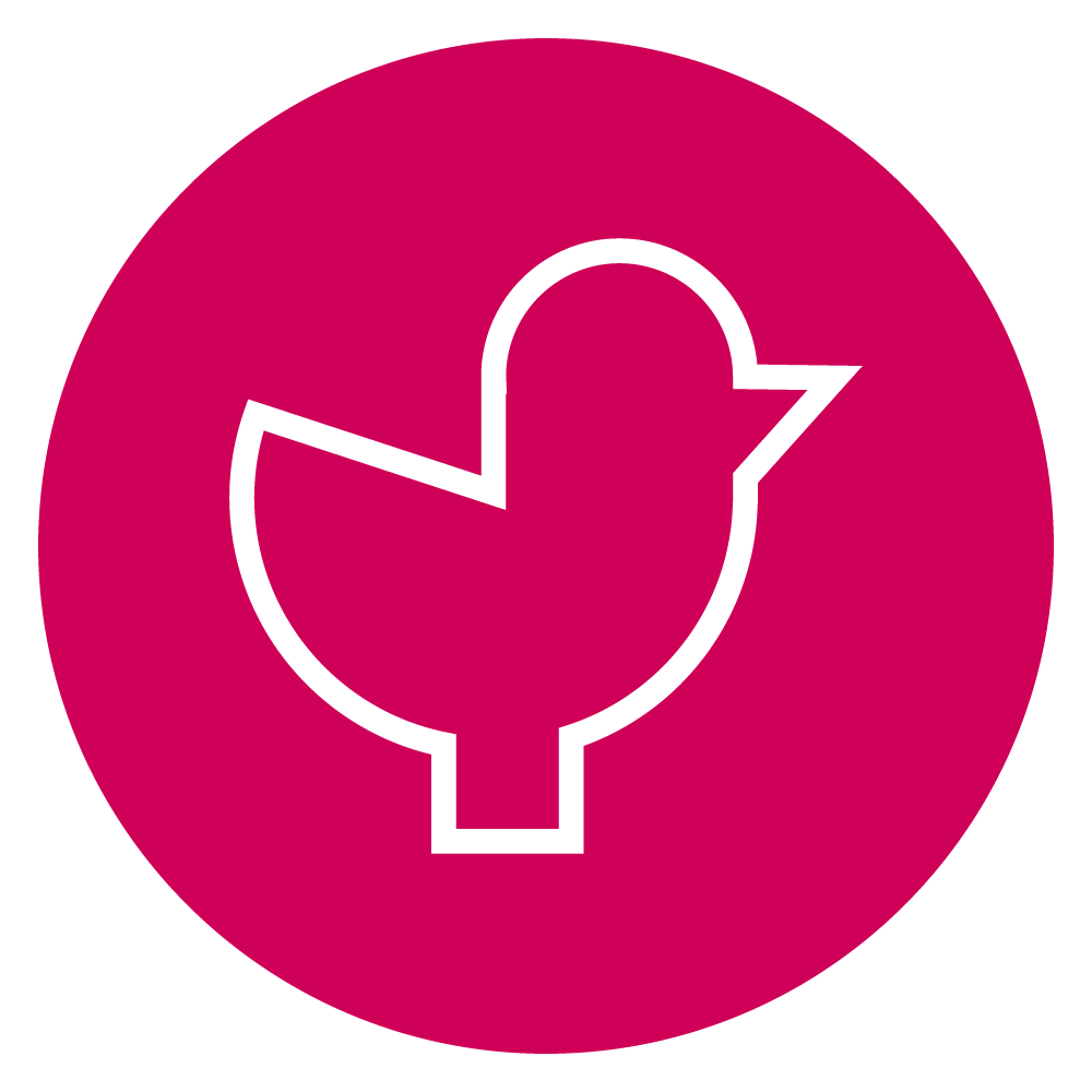 Here is the bird that never flew