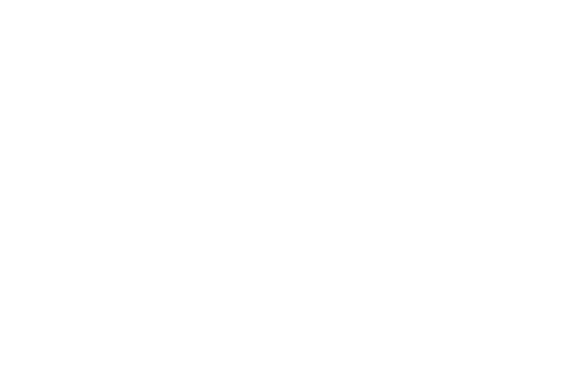 The Victorian Society