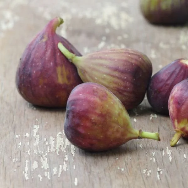 Celeste figs.jpg