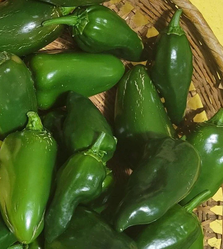 poblano peppers.jpg