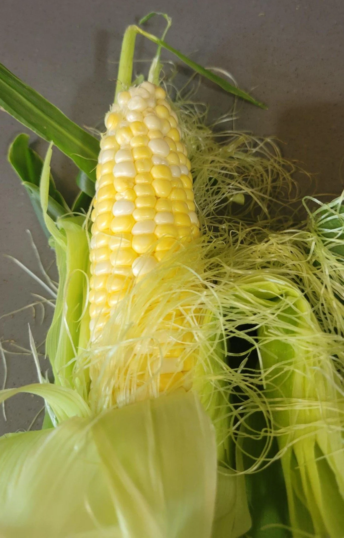 Peaches and Cream corn.jpg