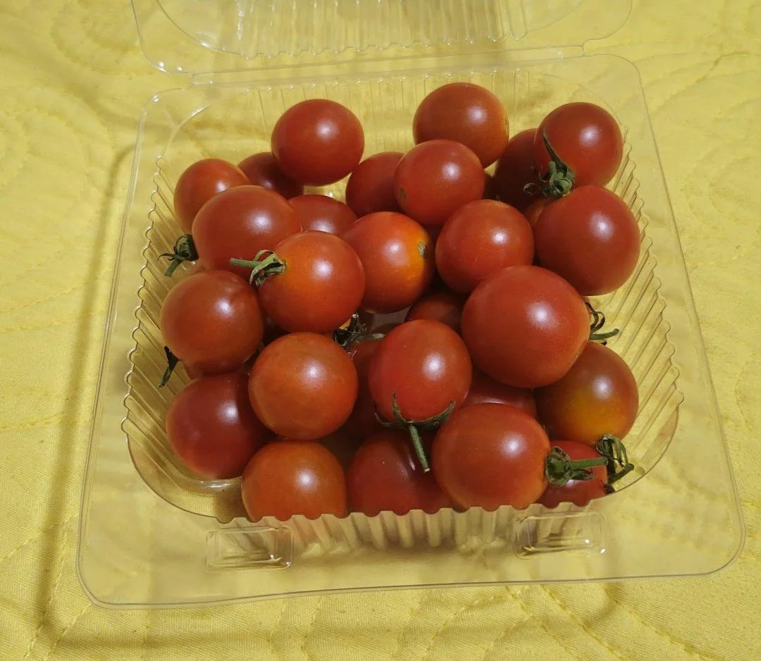 cherry tomatoes 6oz.jpg