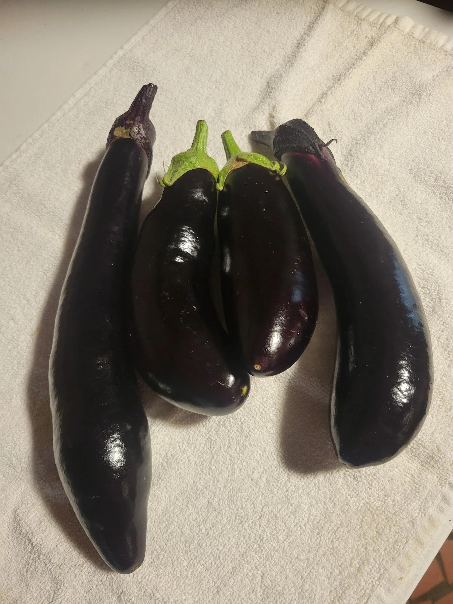 Chinese egplant.jpg