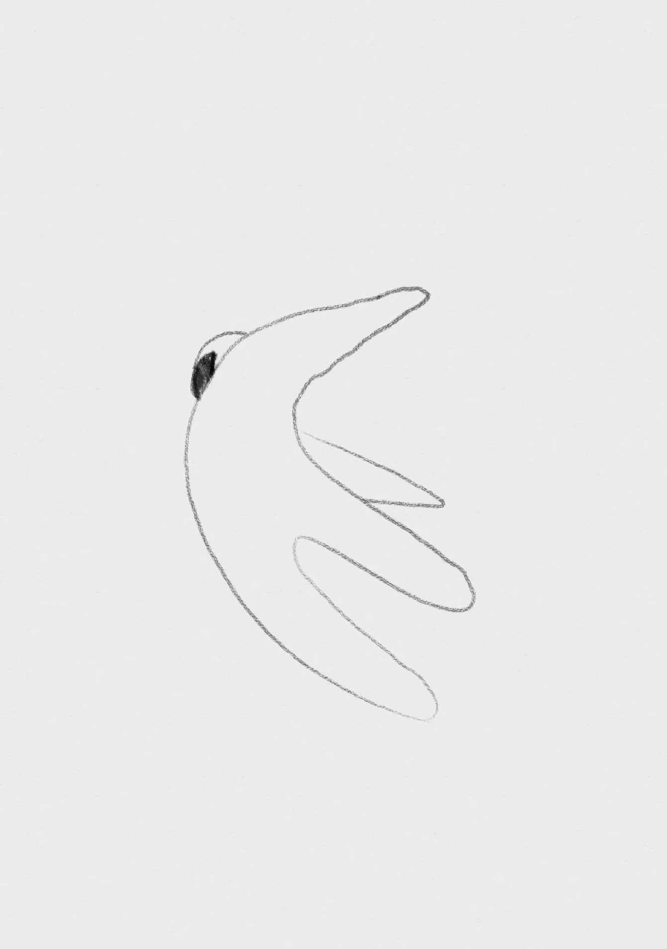 Screenshot 2026-01-21 at 12.54.51.jpeg