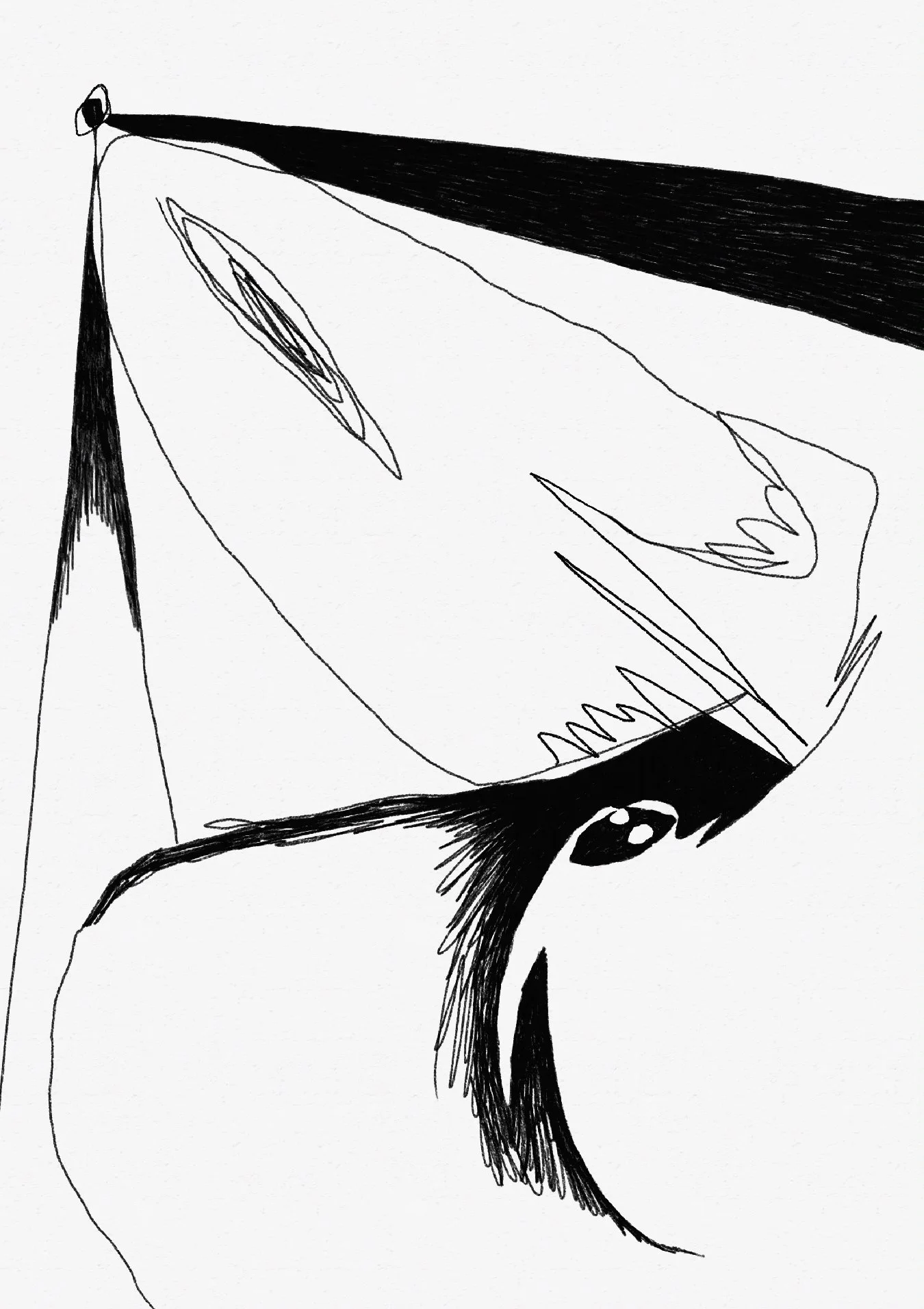 Screenshot 2026-01-21 at 09.58.49.jpeg