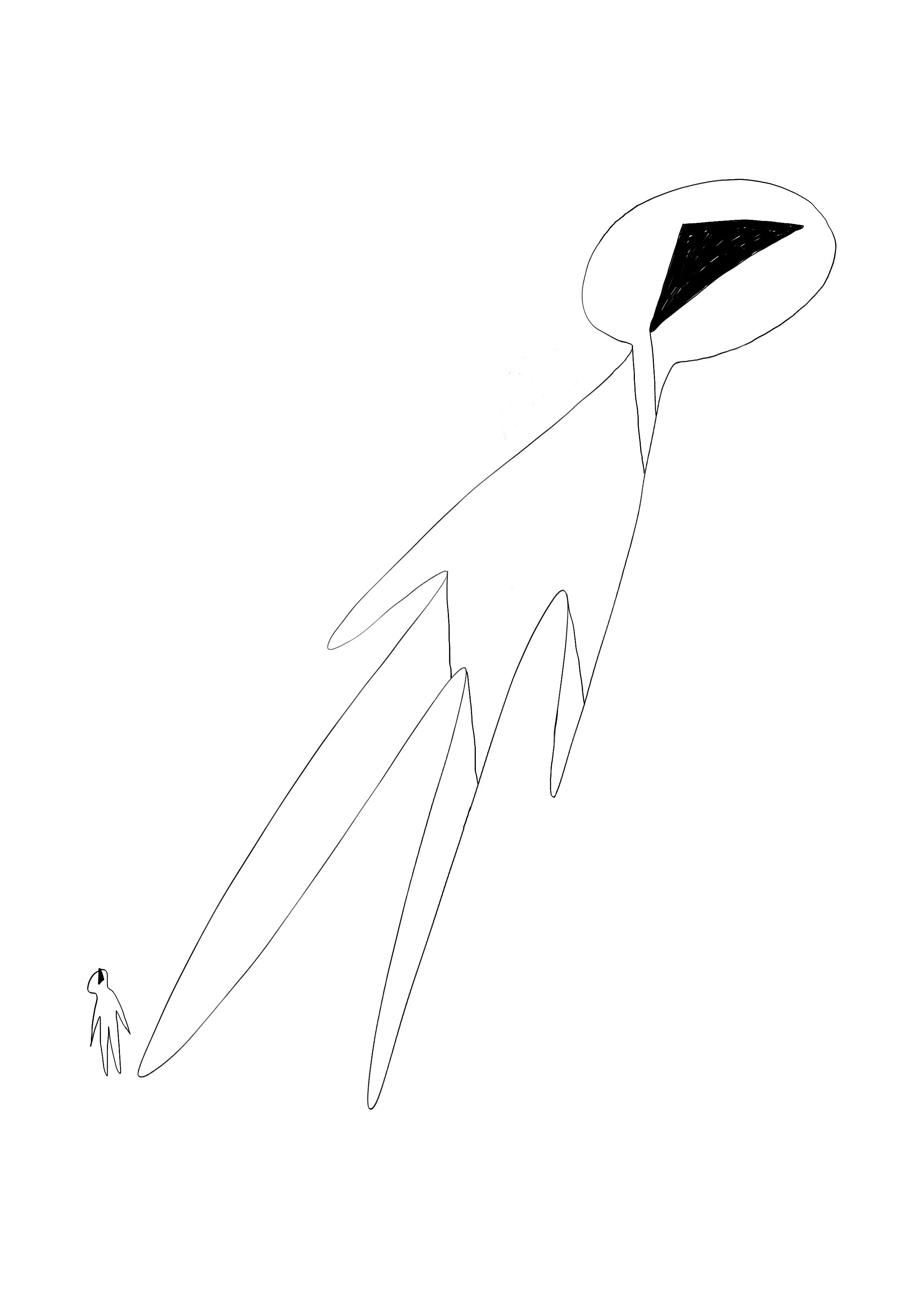 SR 136.jpeg
