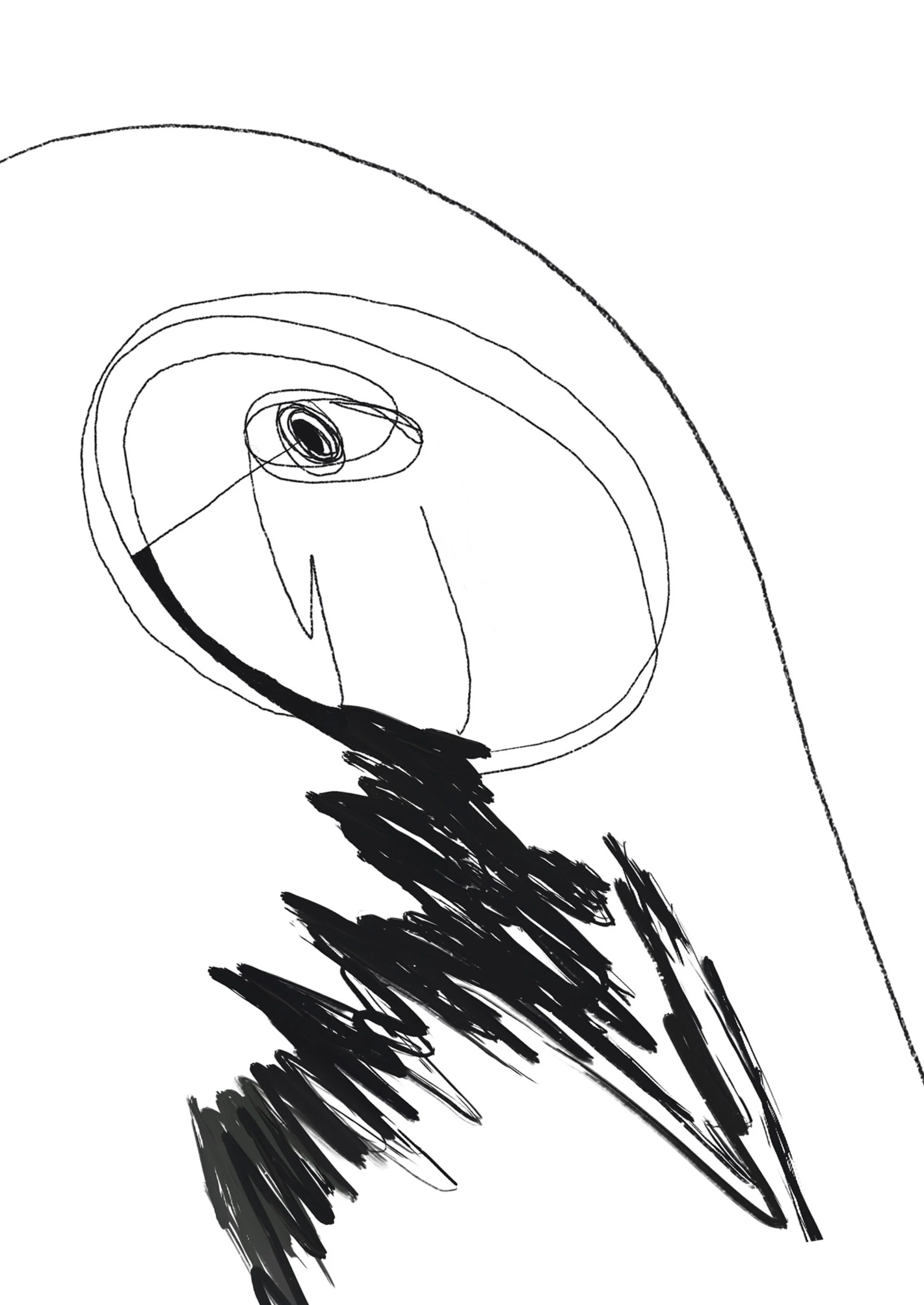 12.jpeg