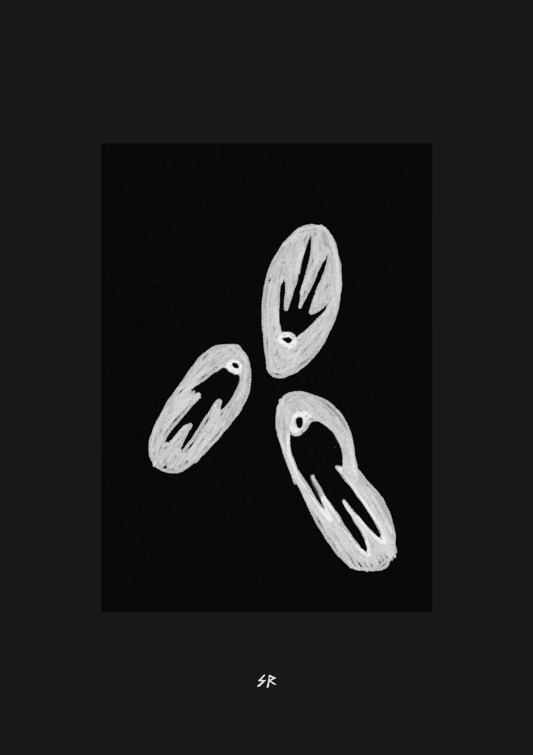 Signal_252.jpg