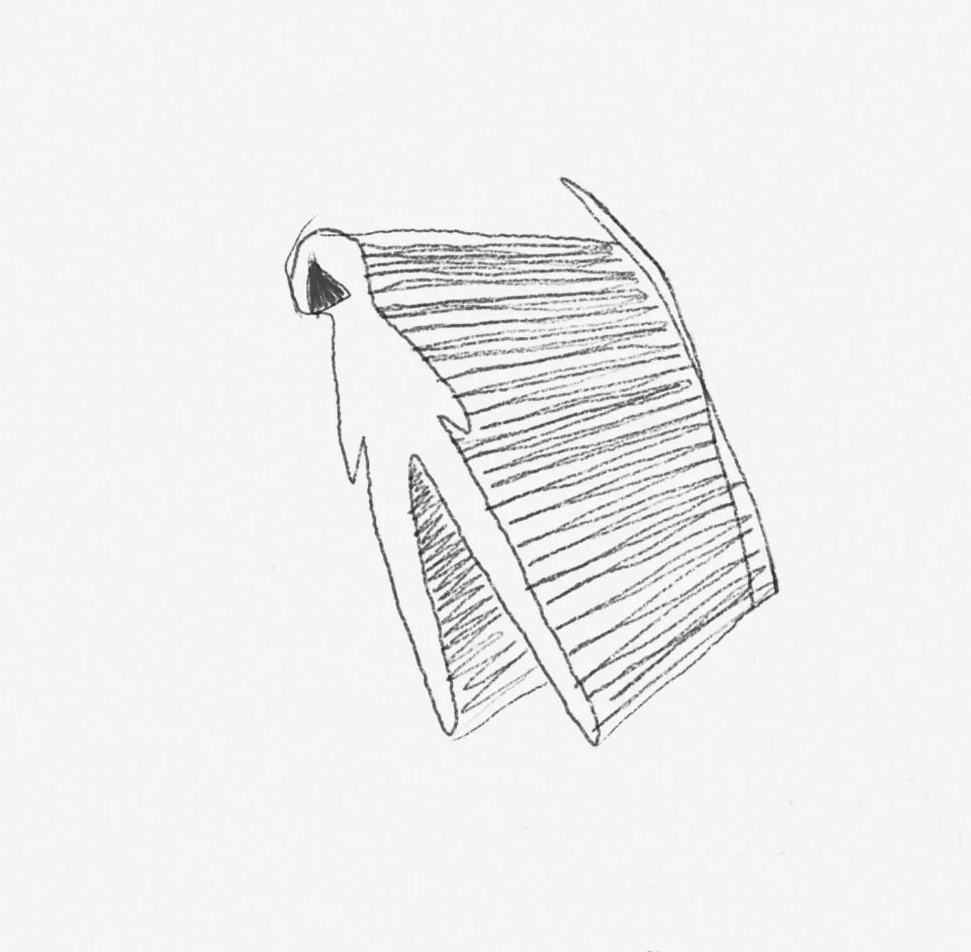 IMG_0269.jpeg