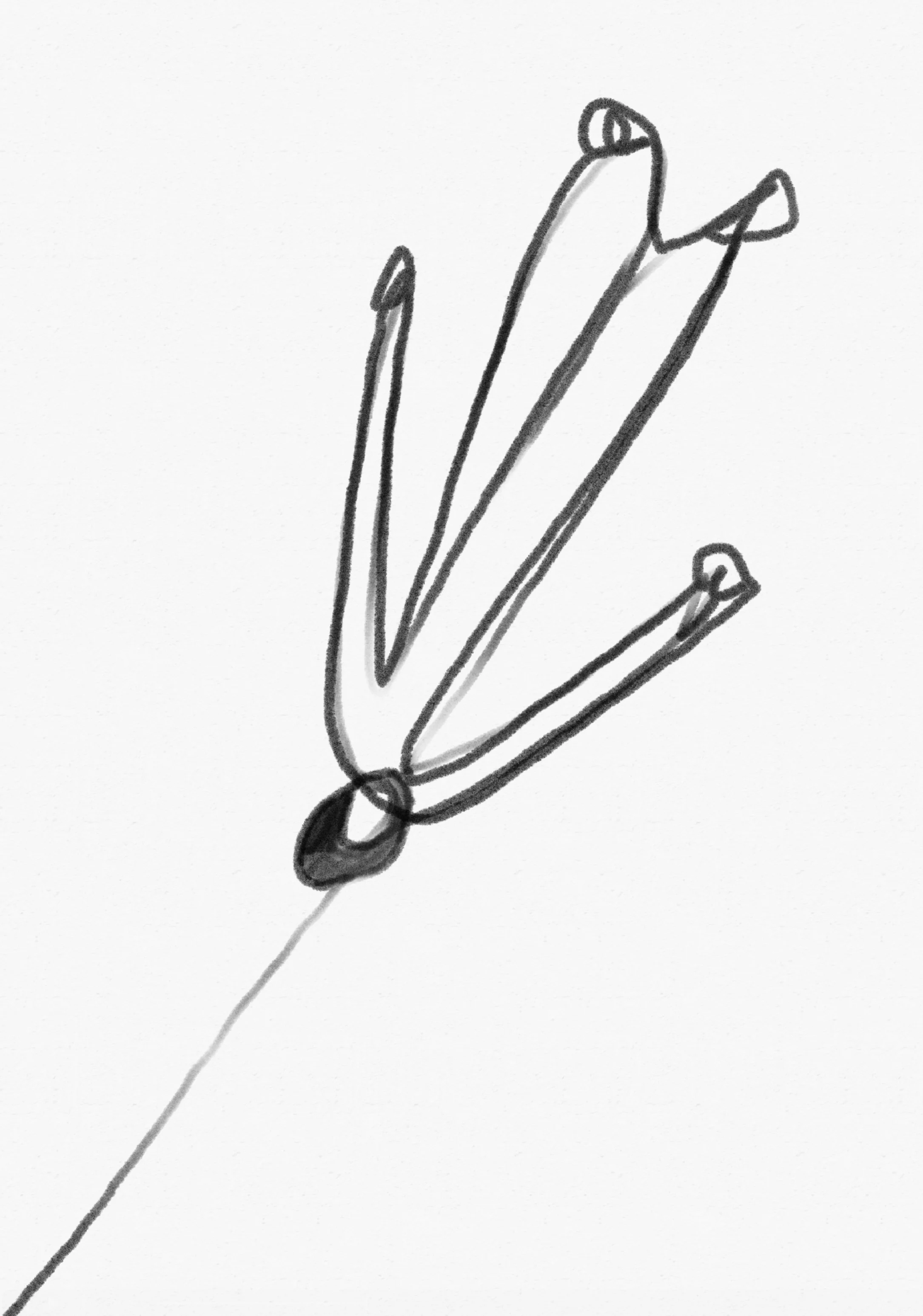 Screenshot 2026-01-20 at 19.14.37.jpeg