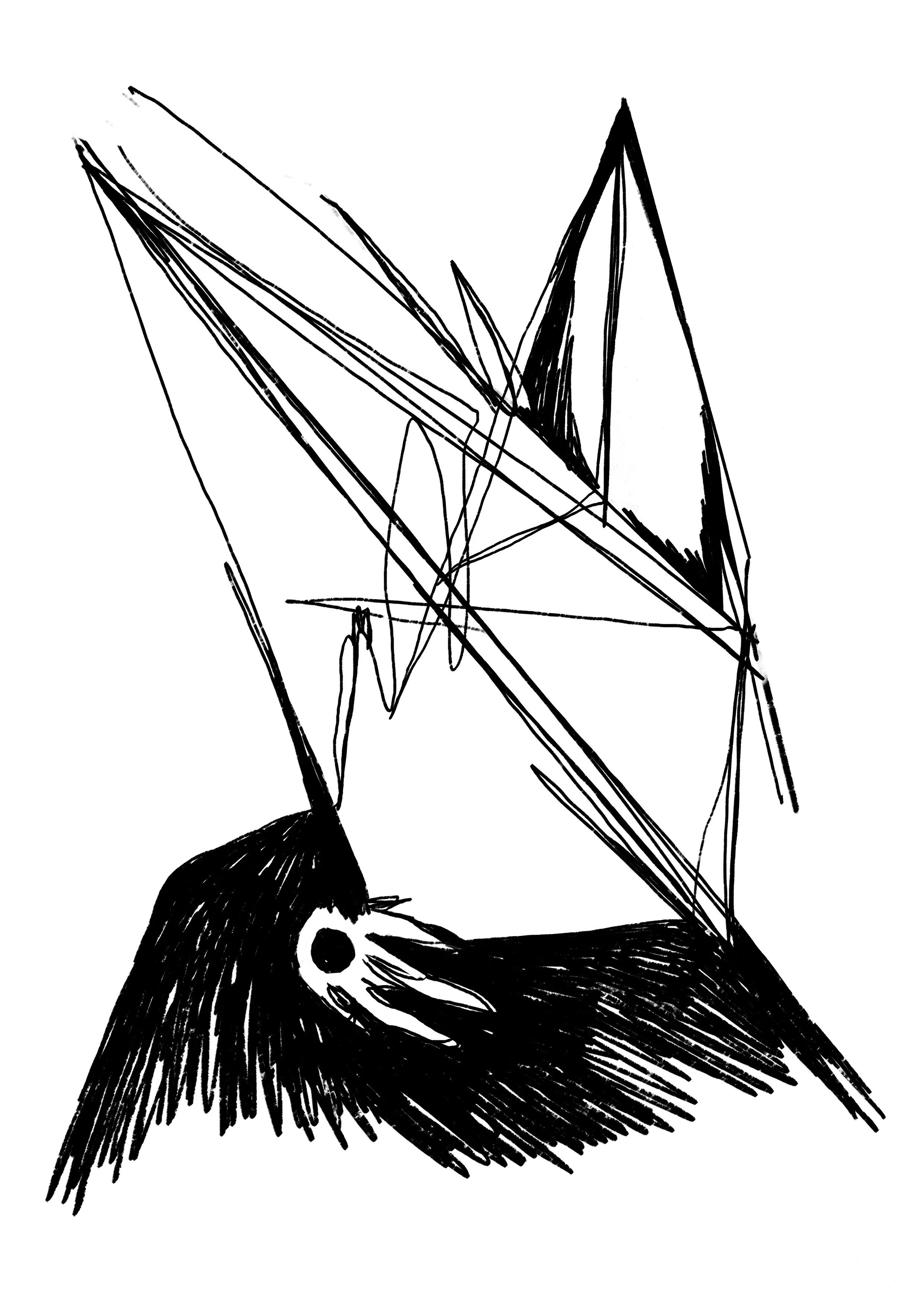 SR 655.jpeg