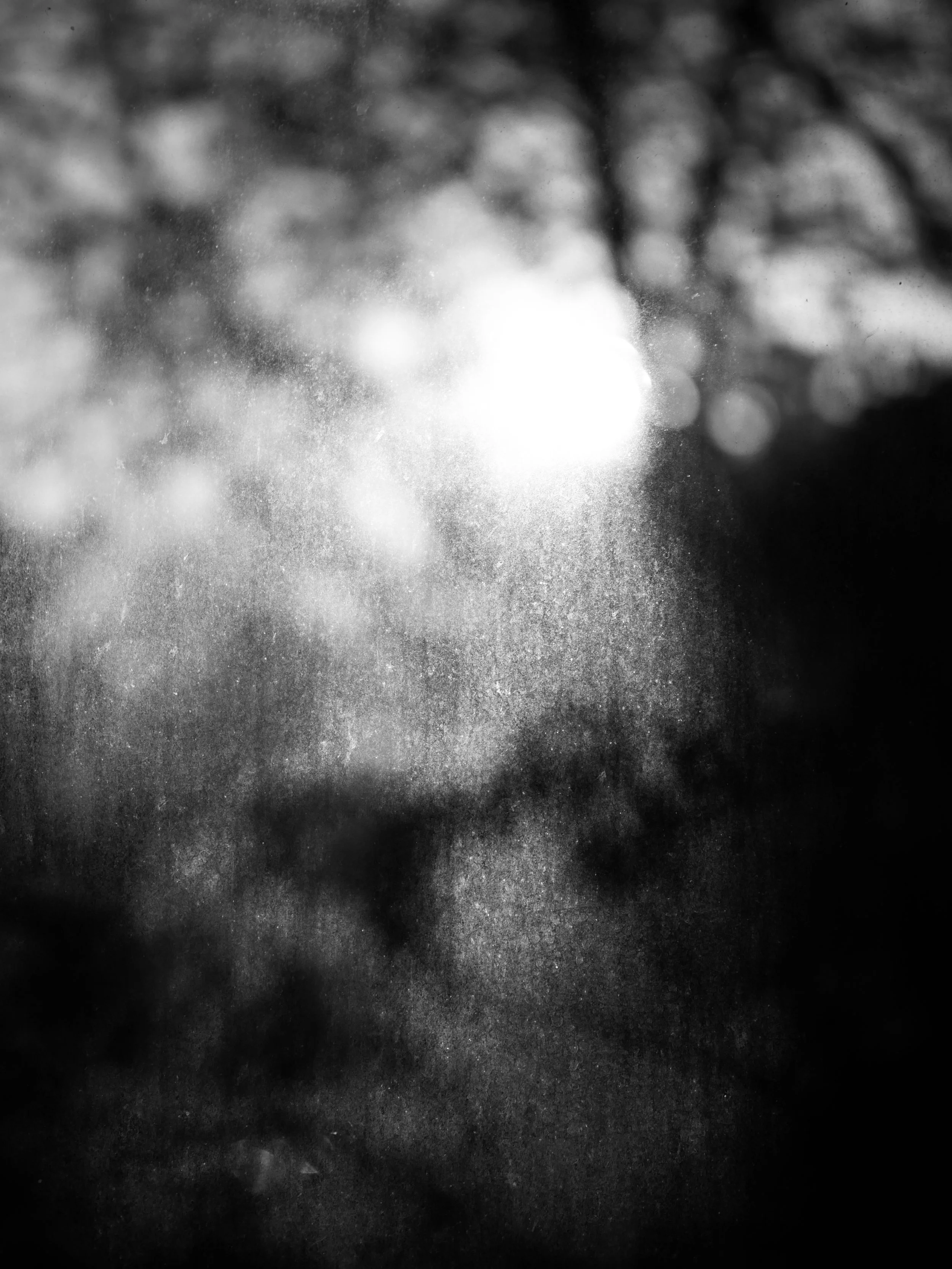 P3330213.jpeg
