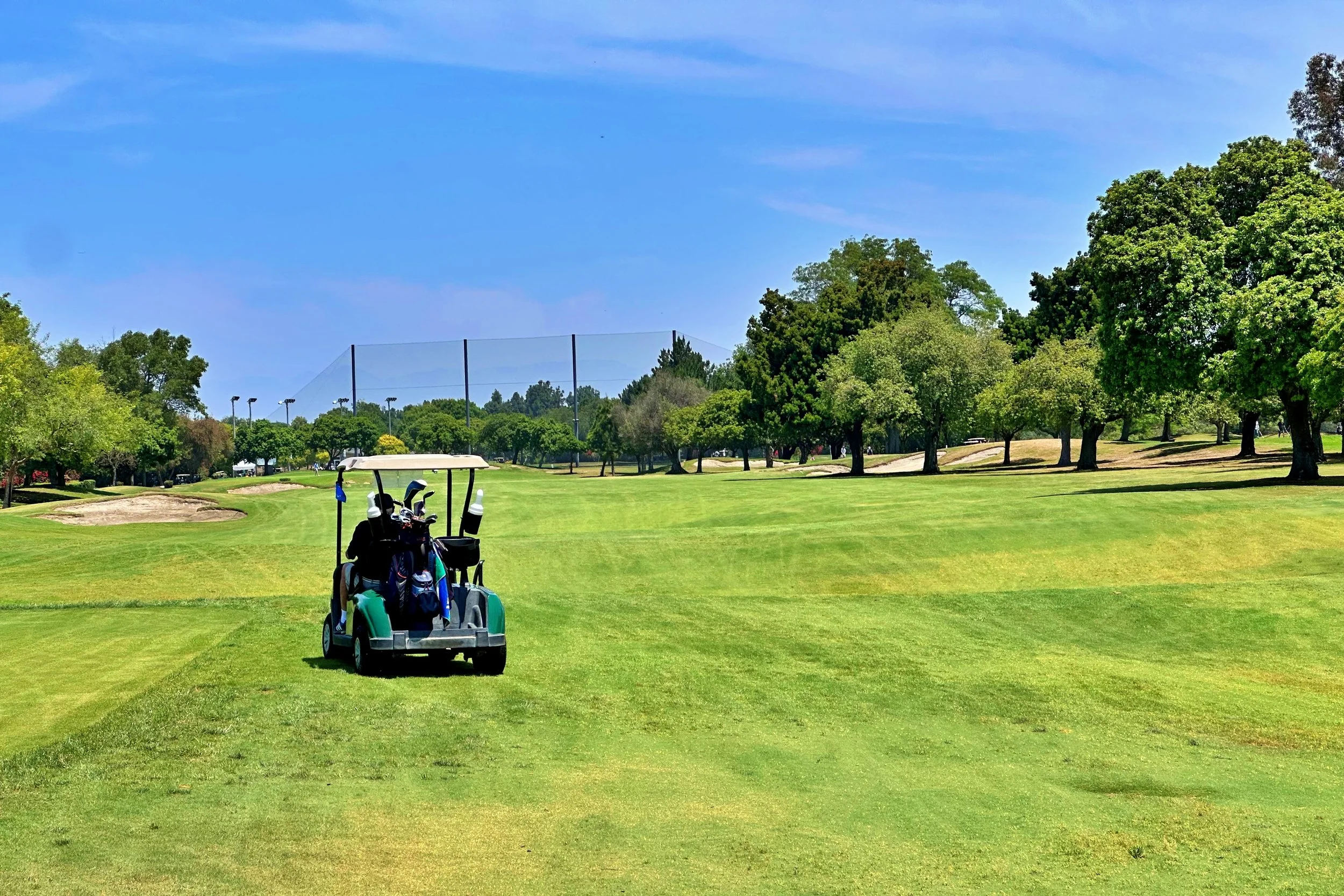 Member Guest