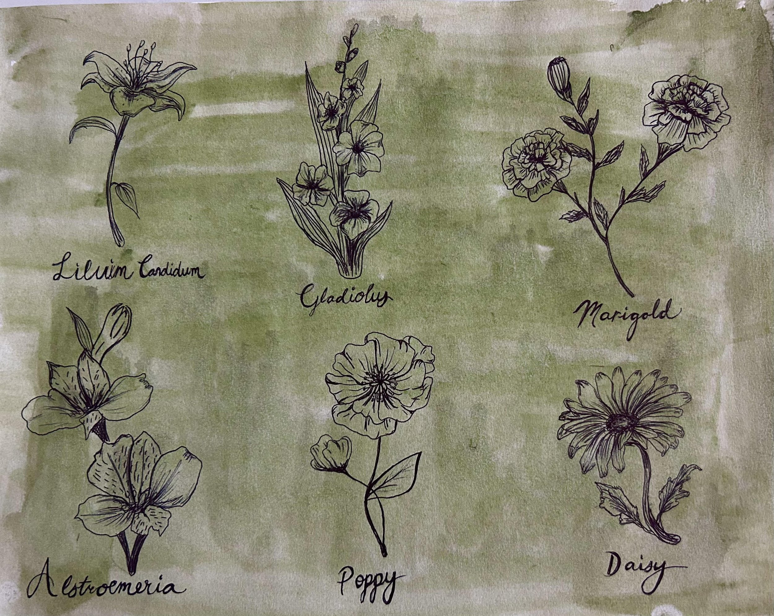 Pen and Watercolor.jpg