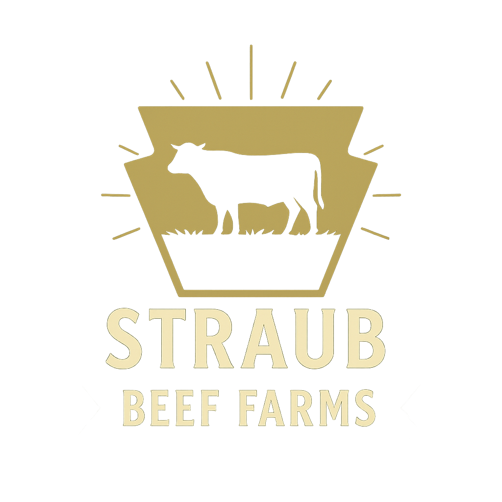 beef farm local darlington pennsylvania beef farm near me