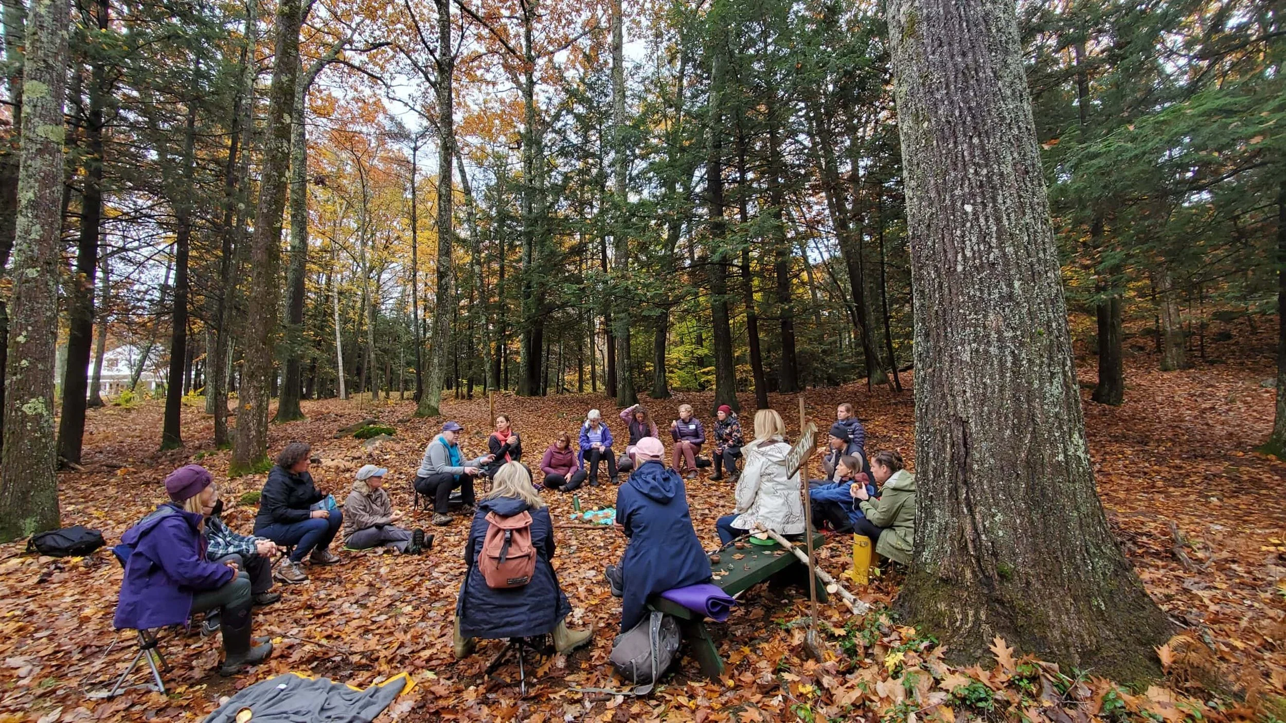 A group of people sitting in a circle in a forest, surrounded by autumn leaves and trees.
