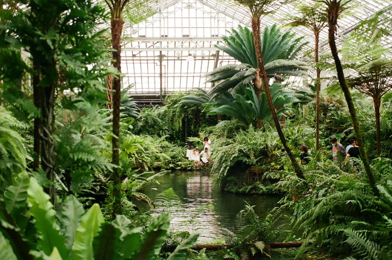 People walking and standing near a pond in a lush, indoor greenhouse filled with large tropical plants and tall trees, with a glass ceiling overhead.