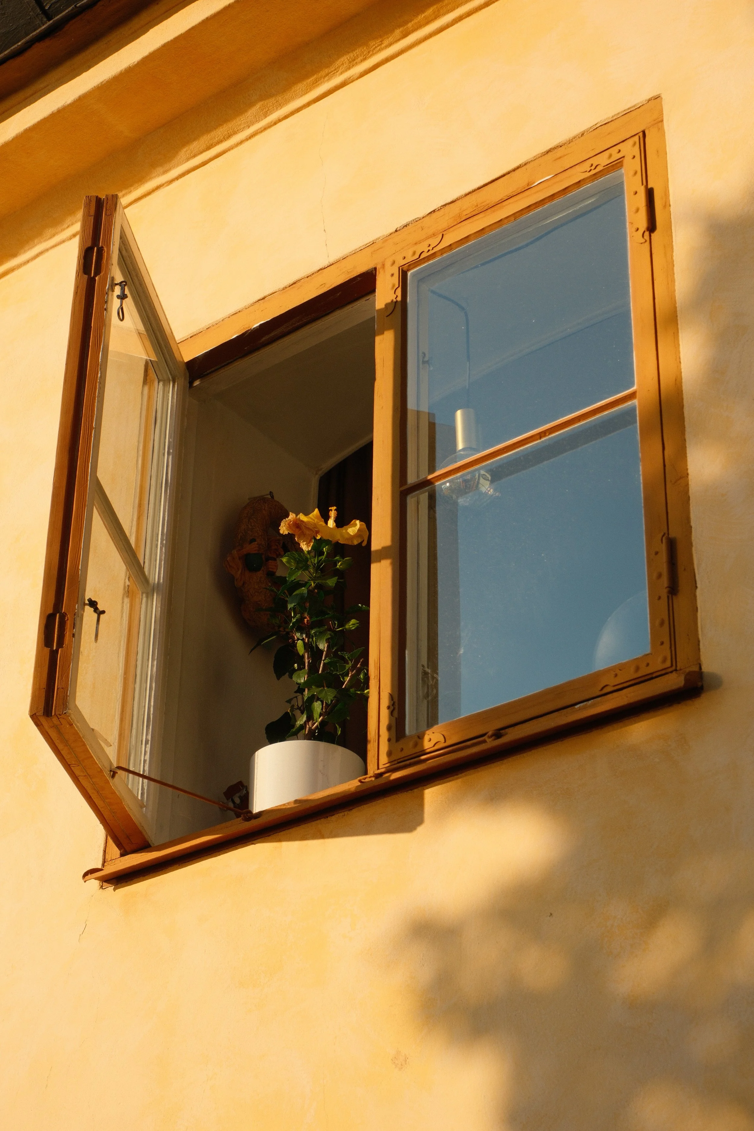 Window