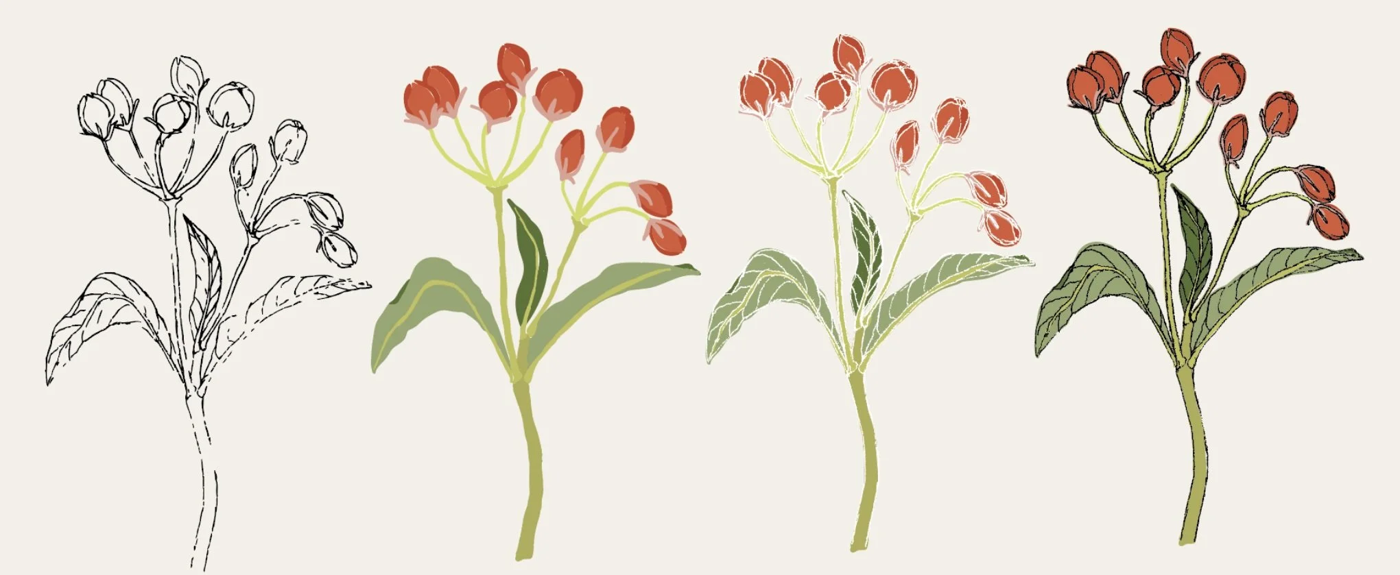 Untitled design (3).jpeg