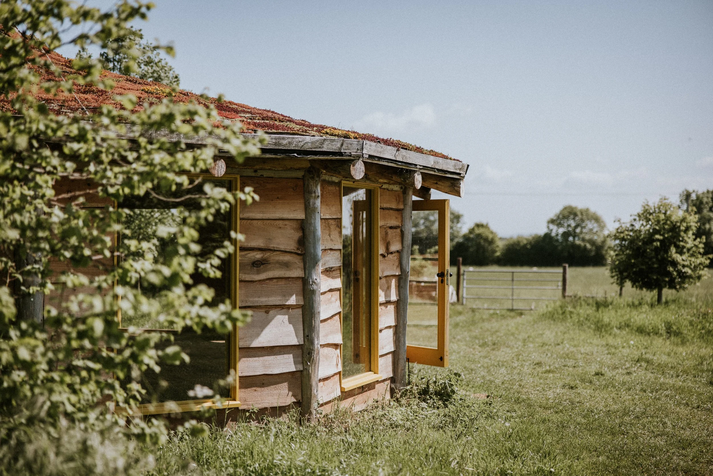 Copy of Copy of Copy of Copy of Copy of Copy of CampwellFarm-44.jpg