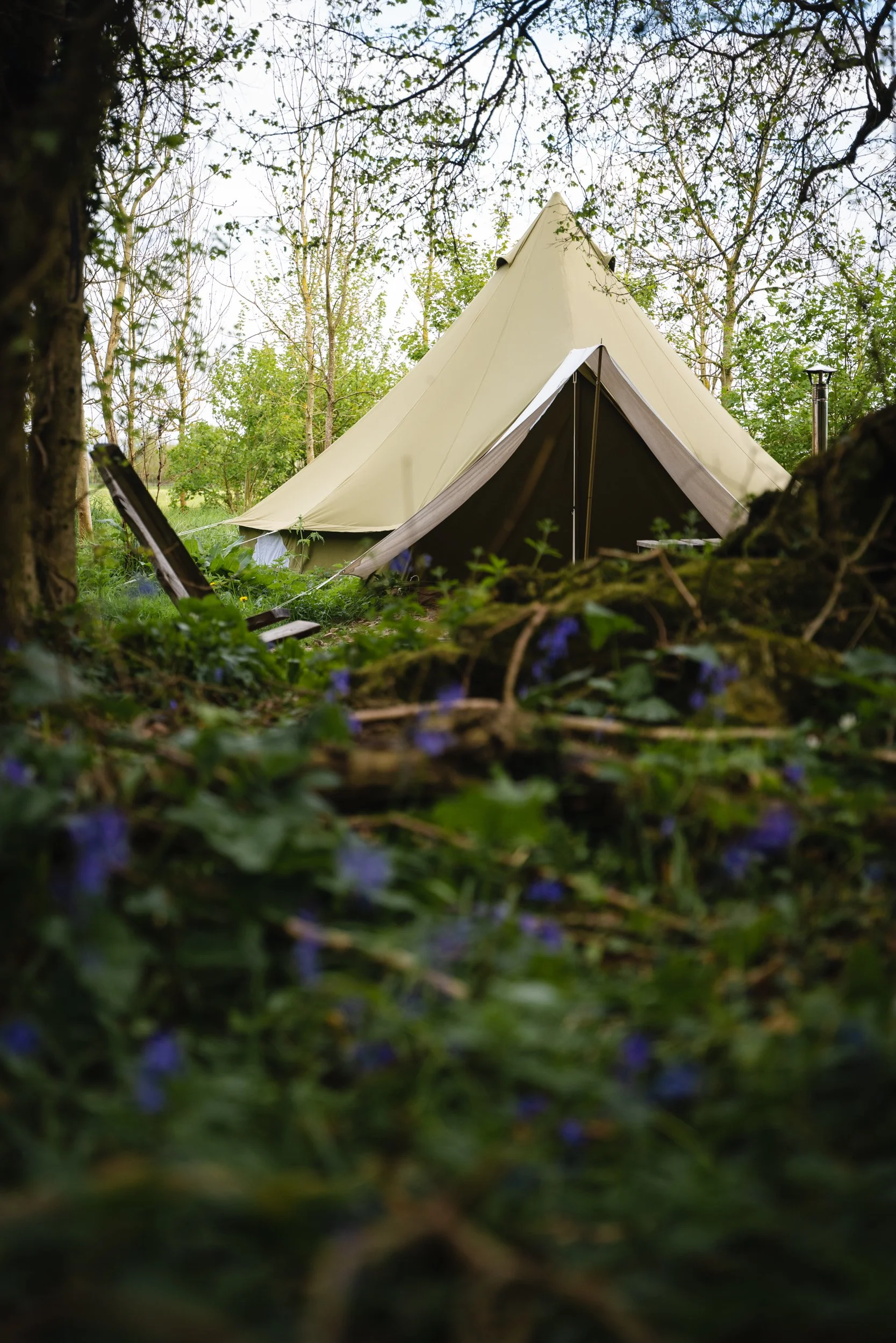 Copy of Eesorite.jpg