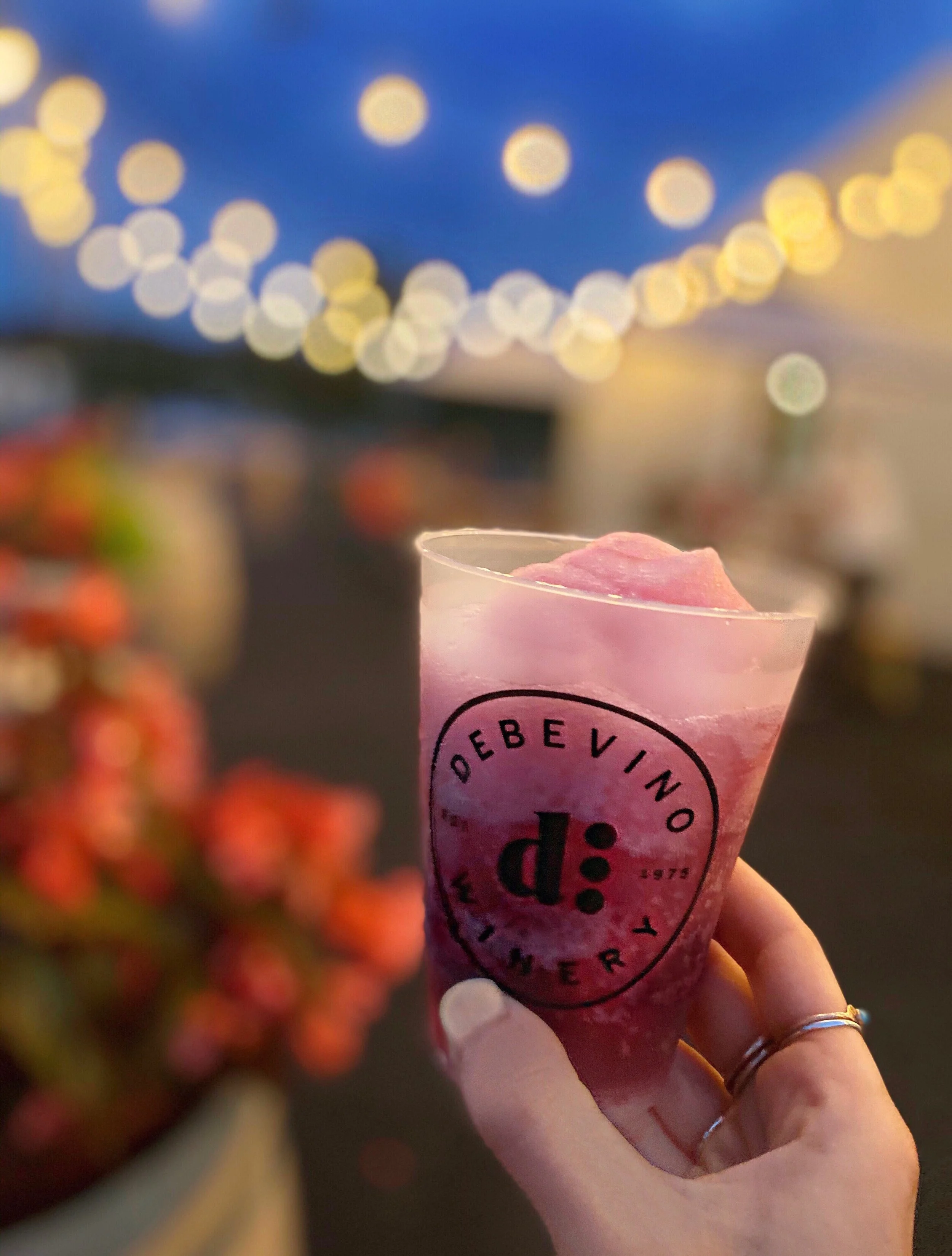 Debevino - slushy nighttime.jpeg