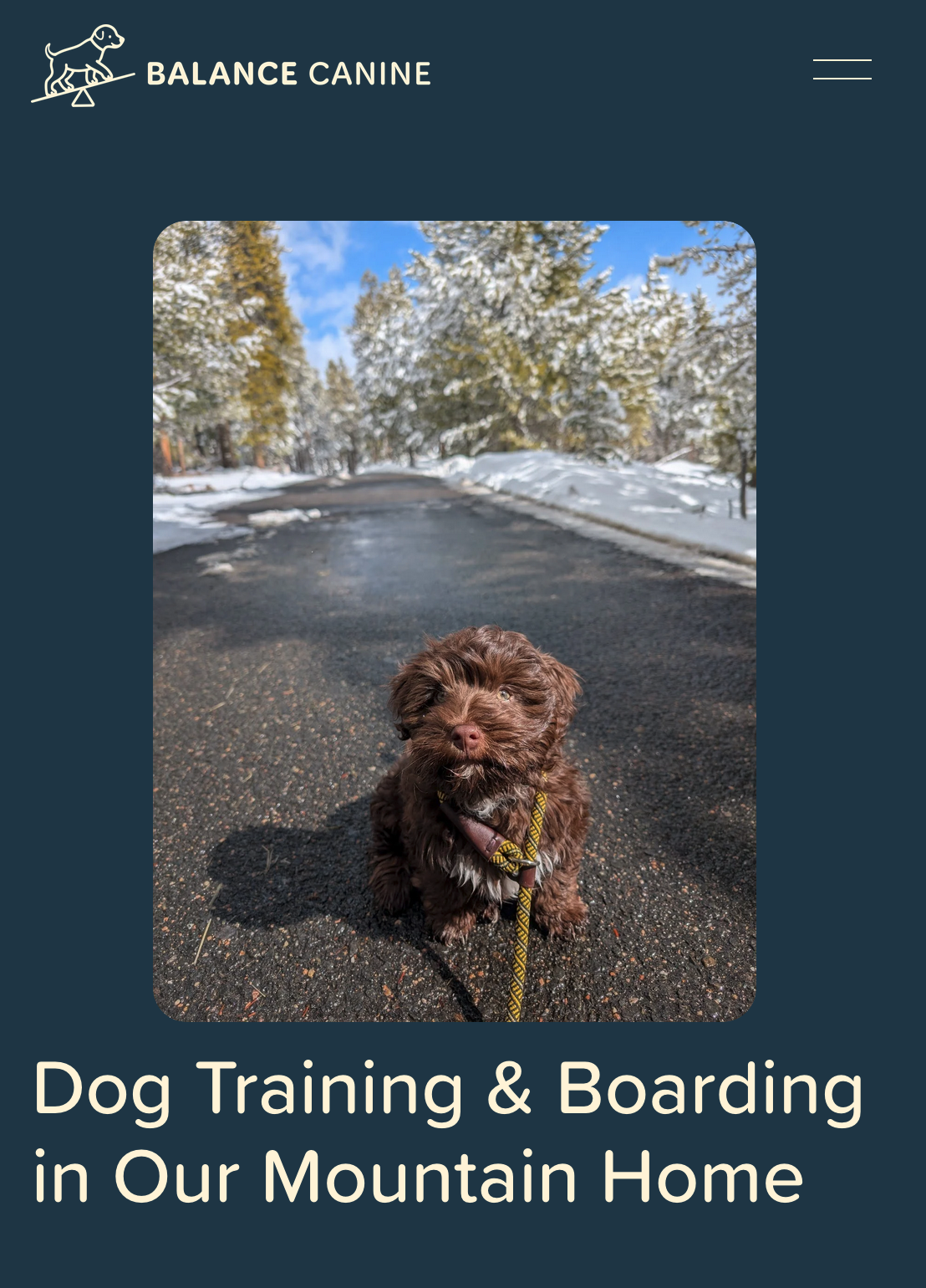 The Balance Canine Project