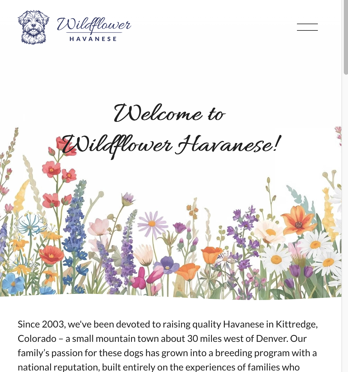The Wildflower Project