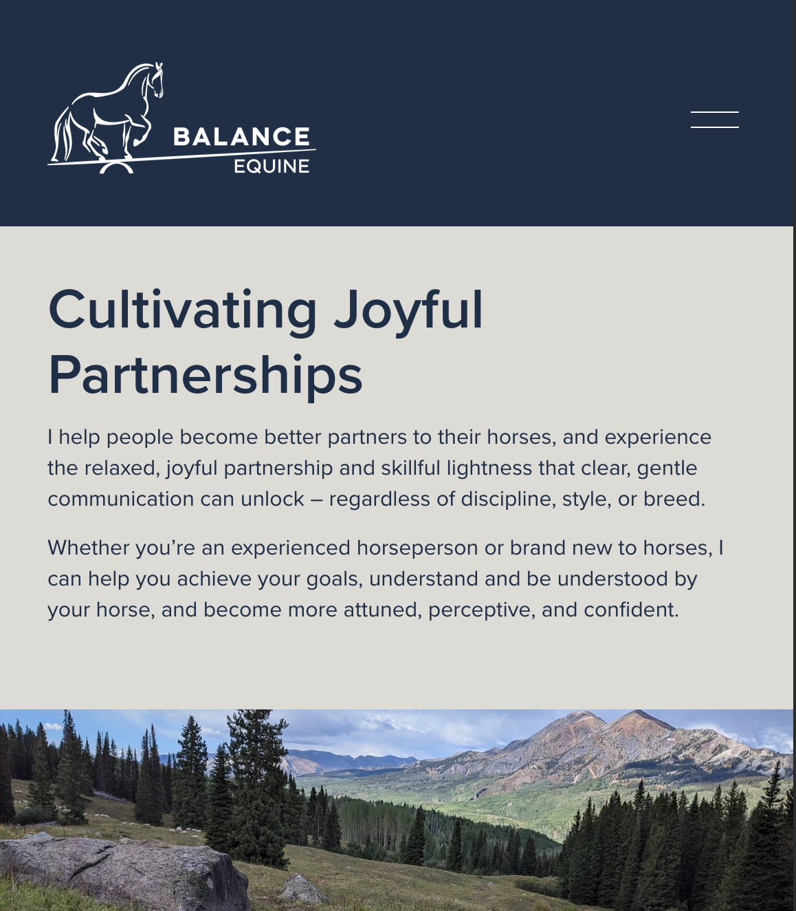 The Balance Equine Project