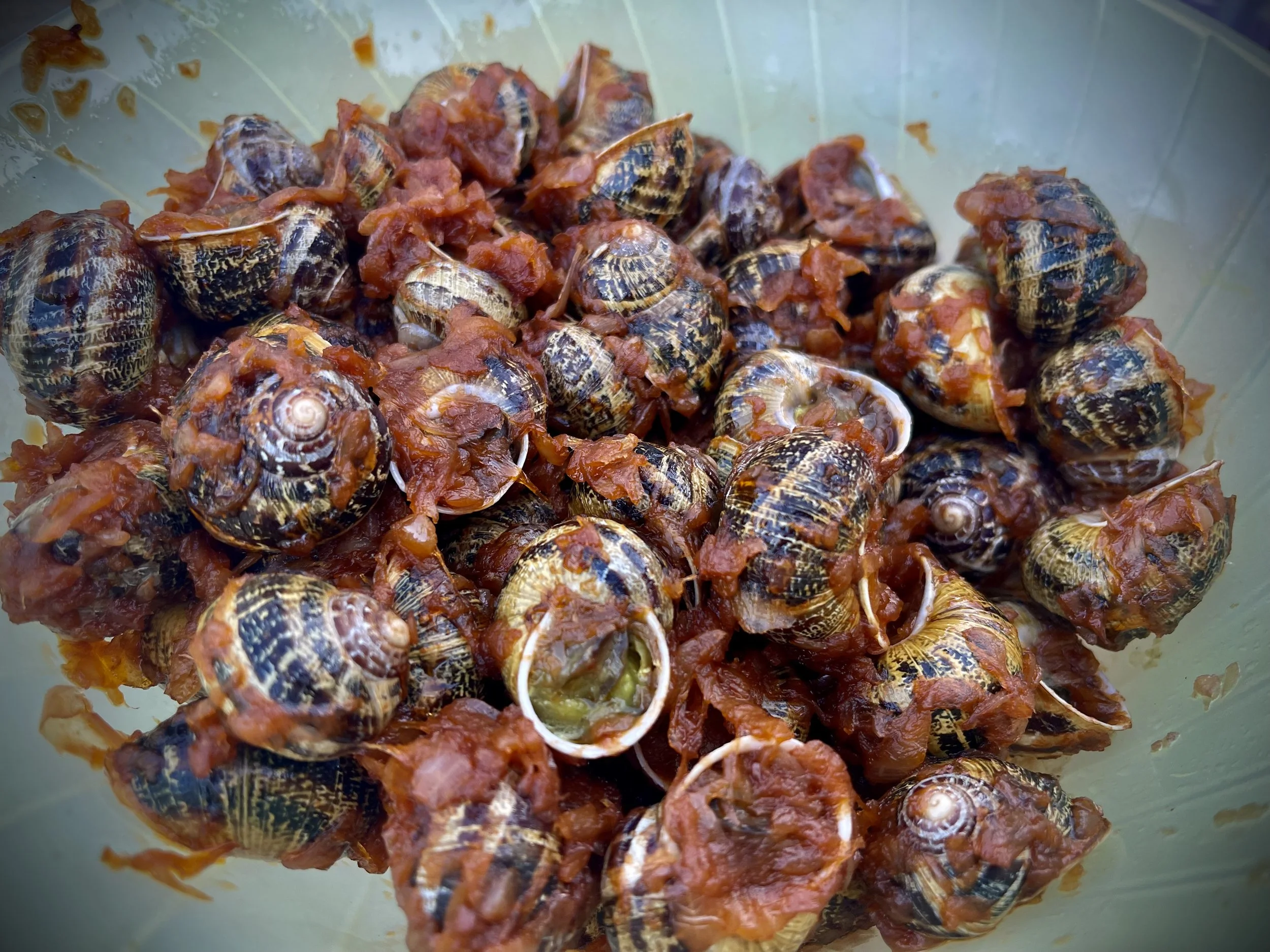 🐌 Χοχλιοί με Χόντρο (Κρητική Νηστίσιμη Συνταγή)